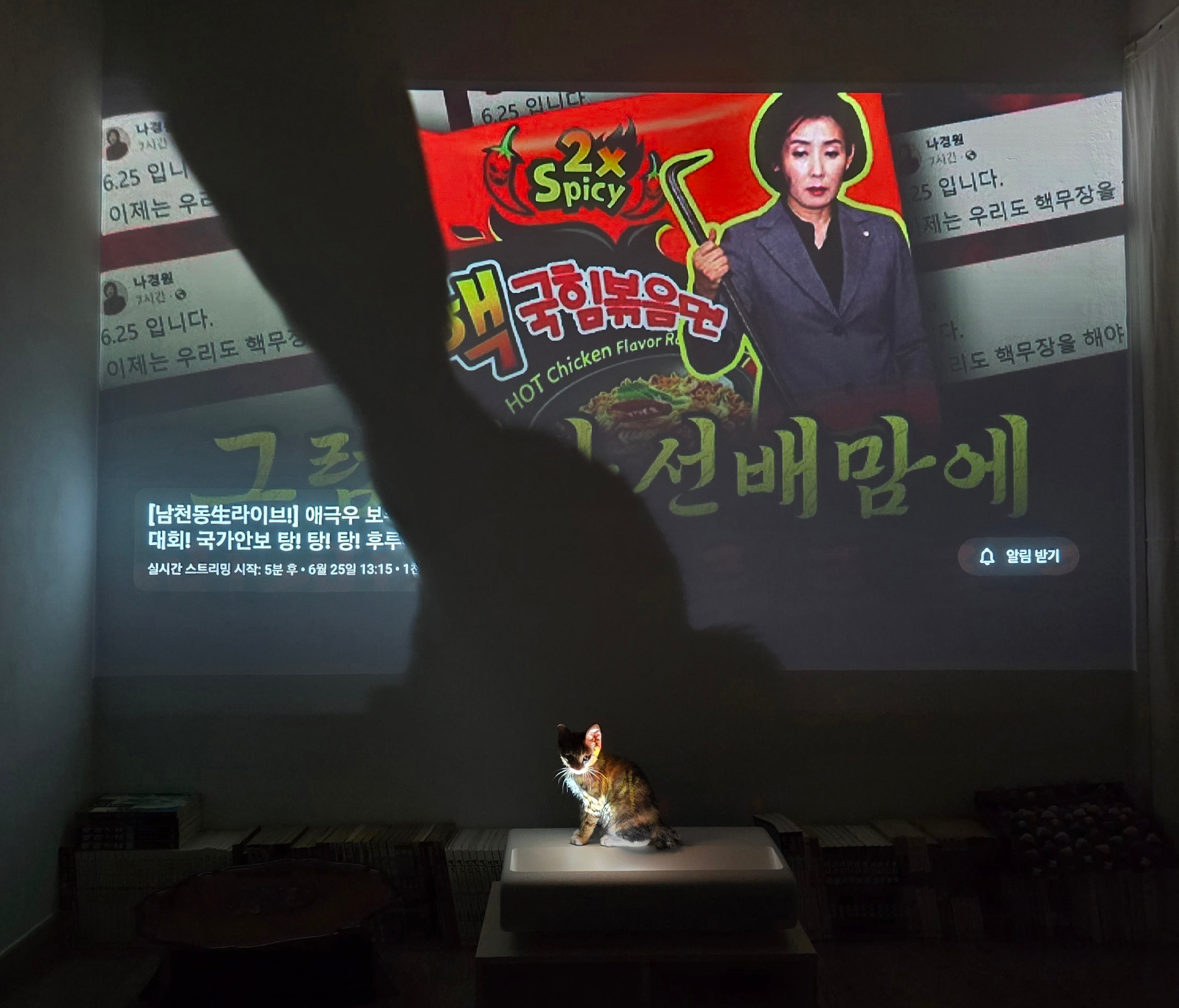 게시글 이미지