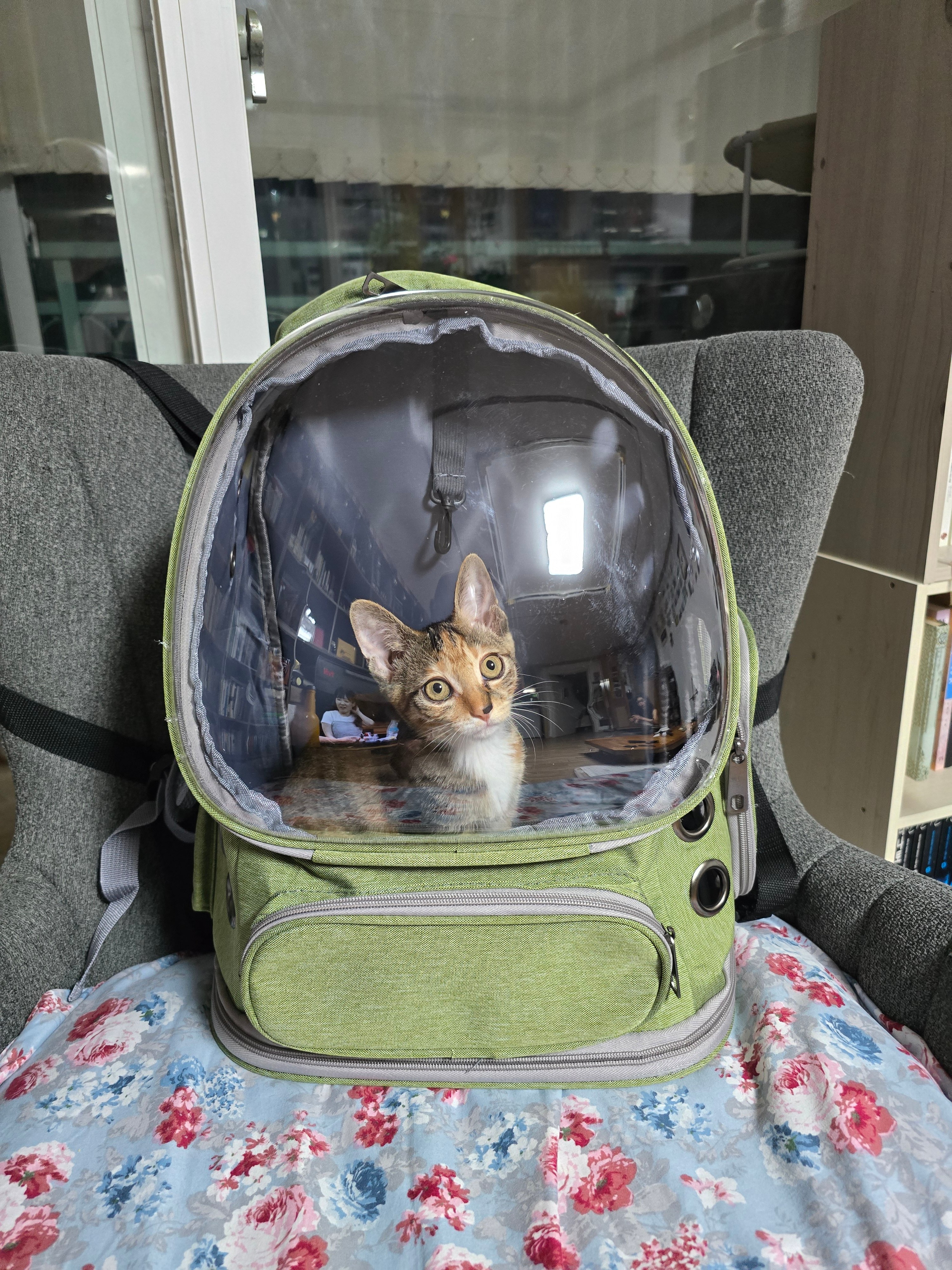 게시글 이미지