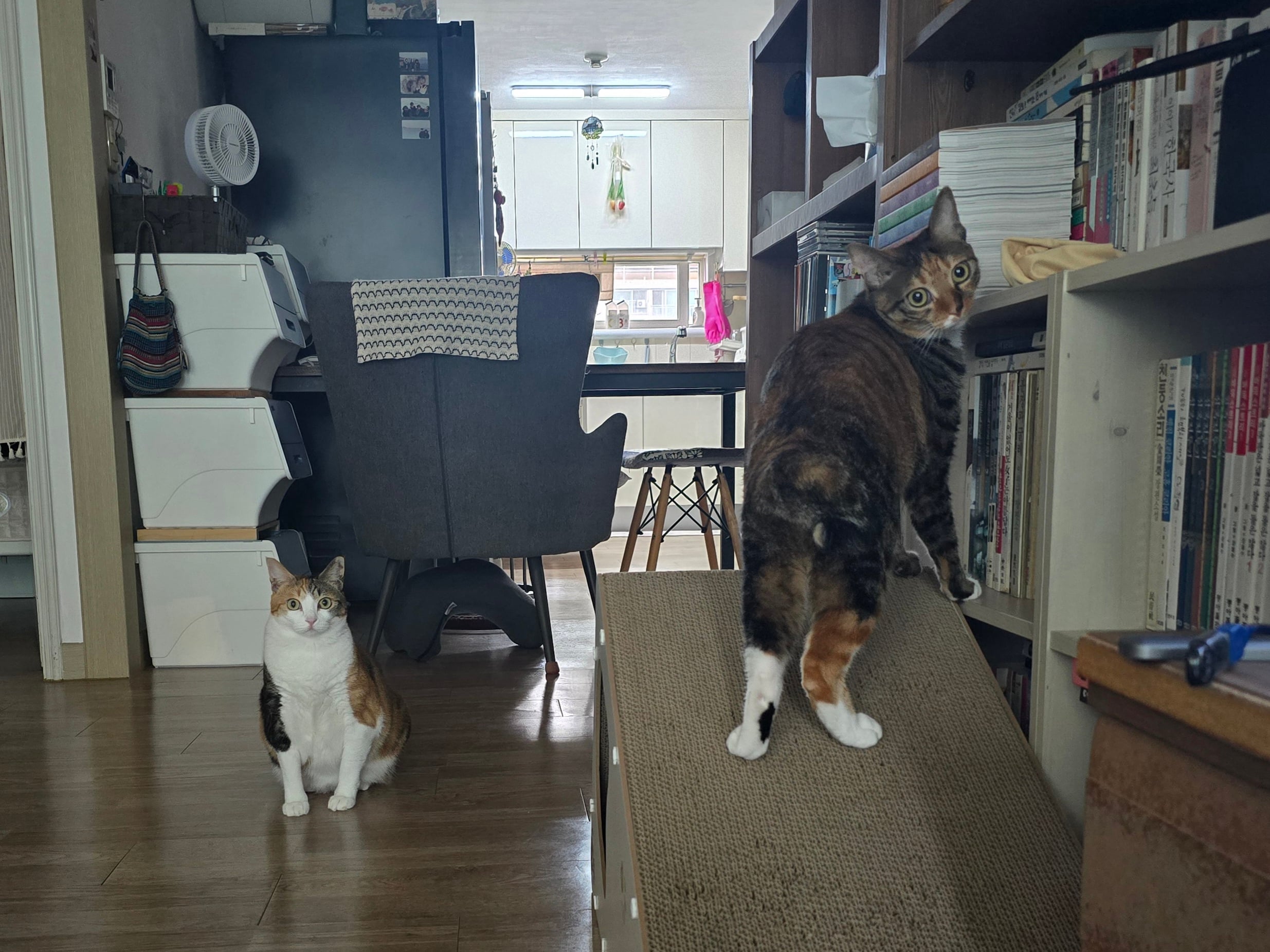 게시글 이미지