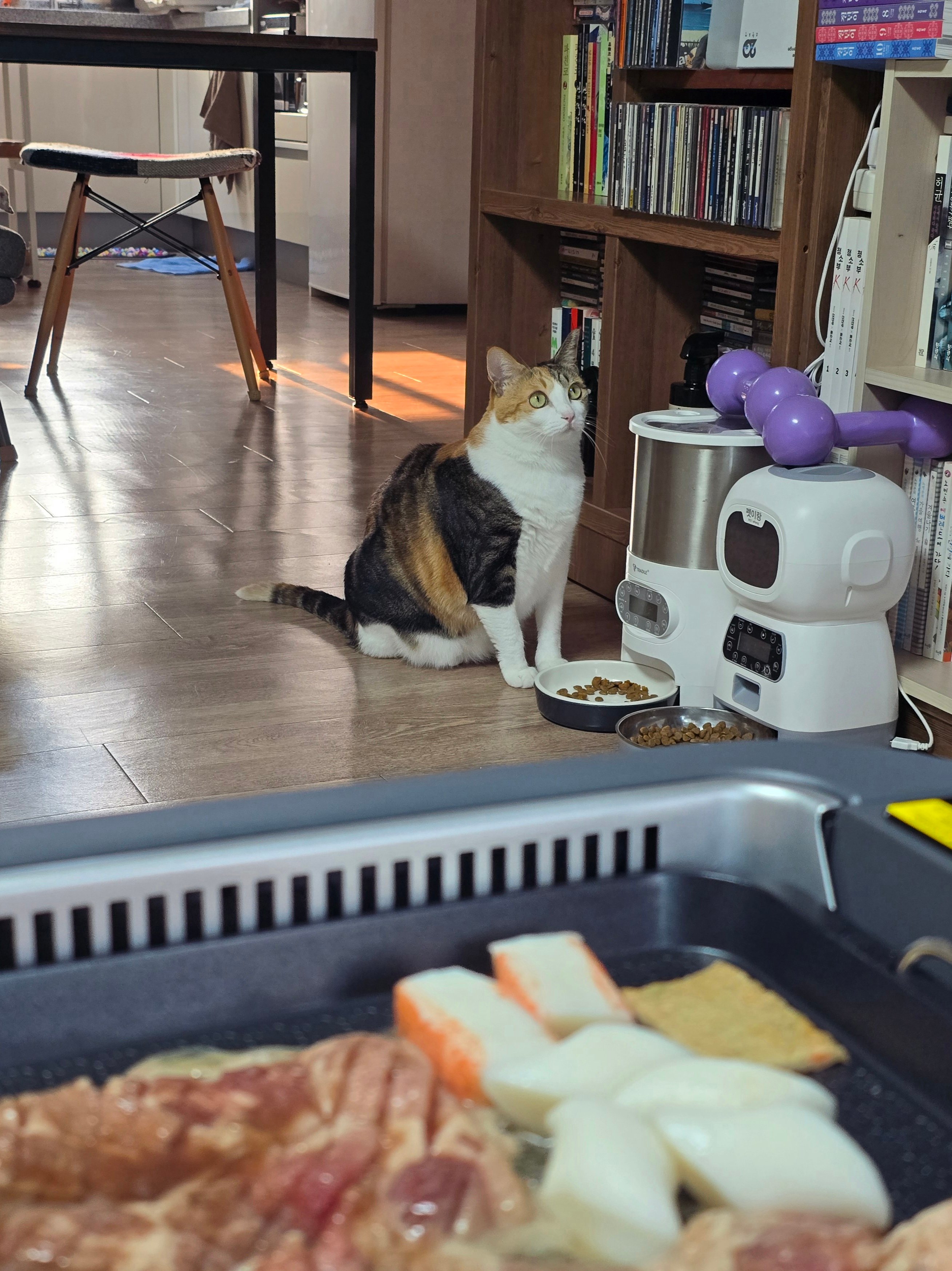 게시글 이미지