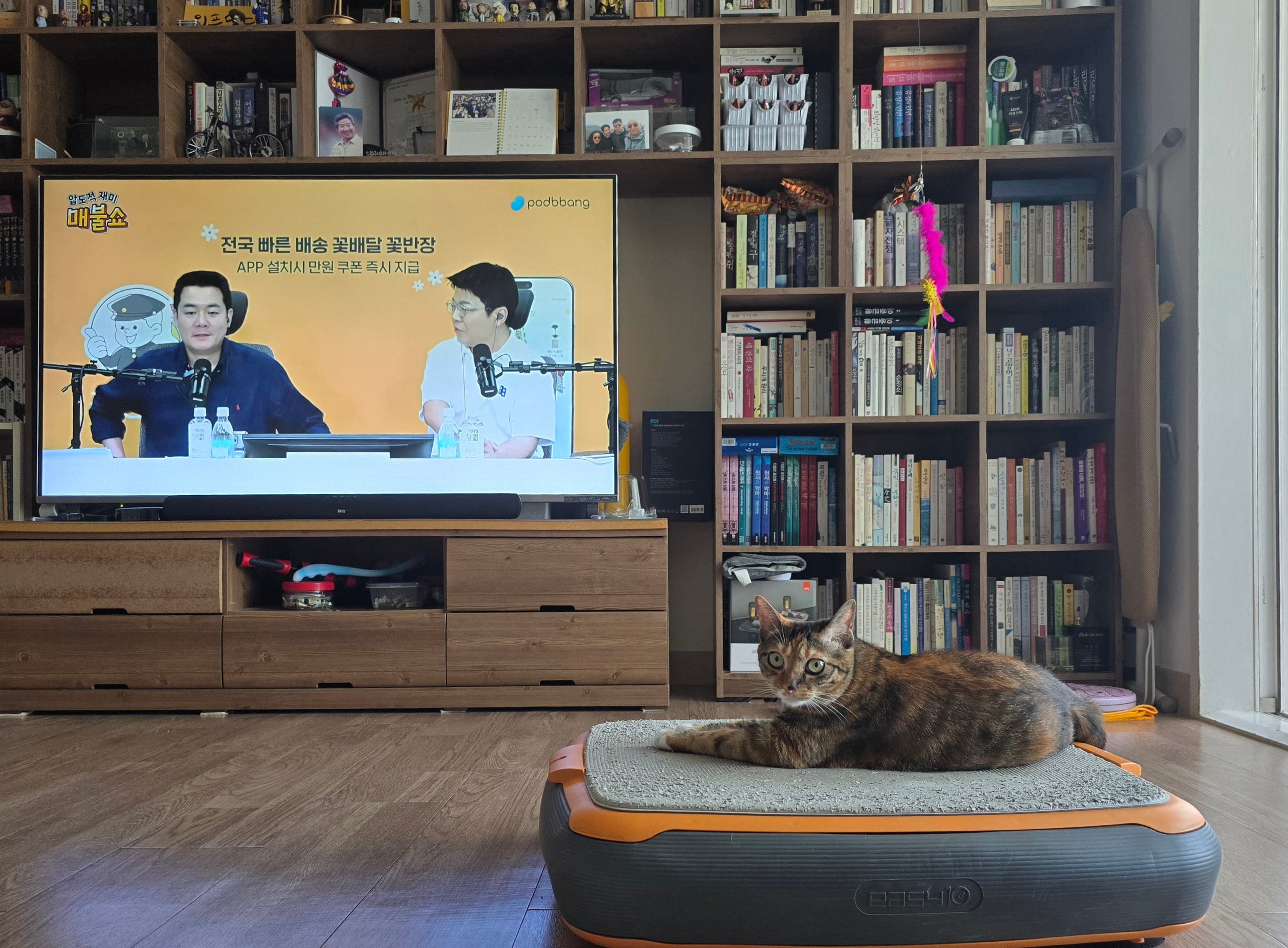게시글 이미지