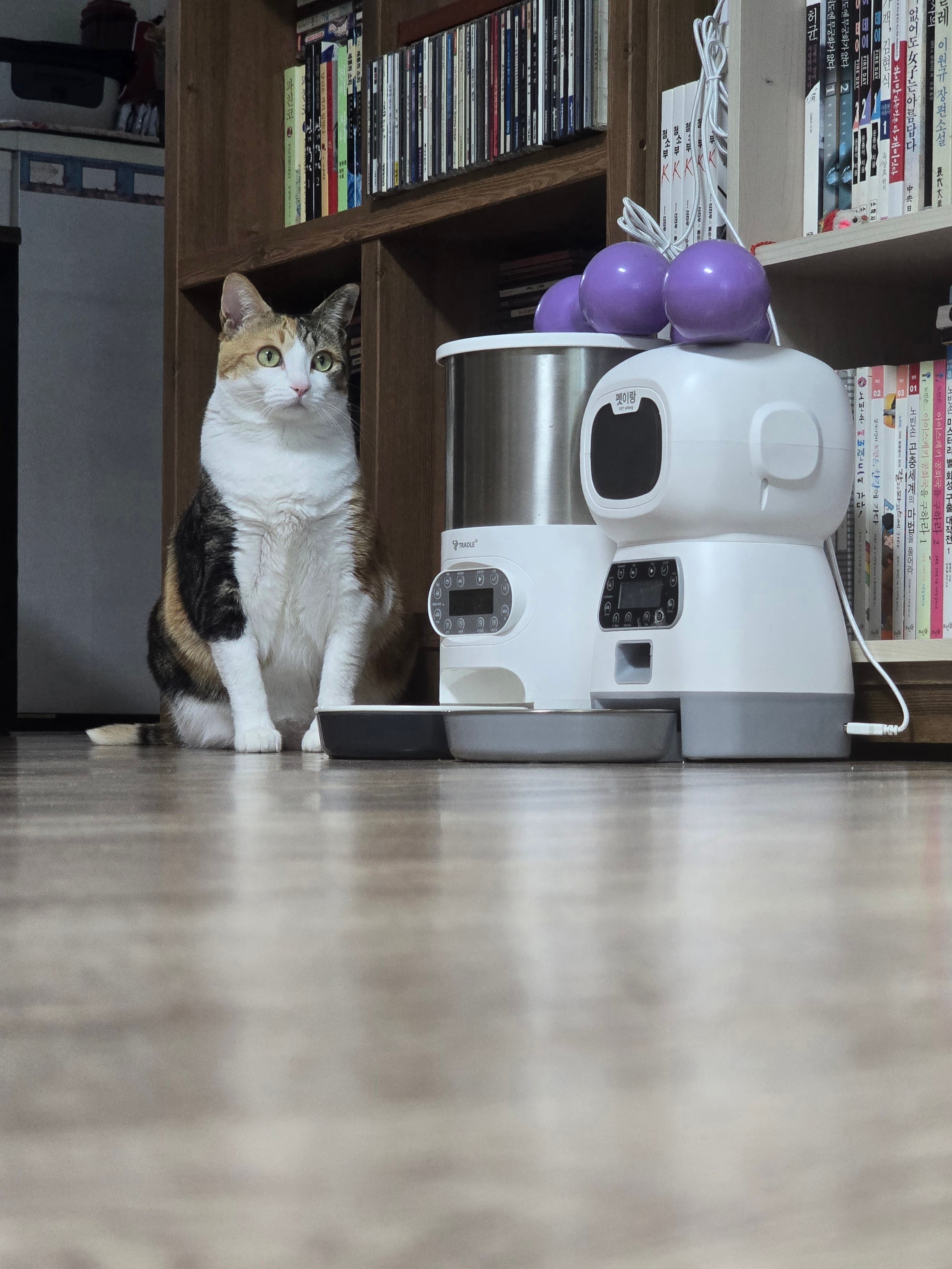 게시글 이미지