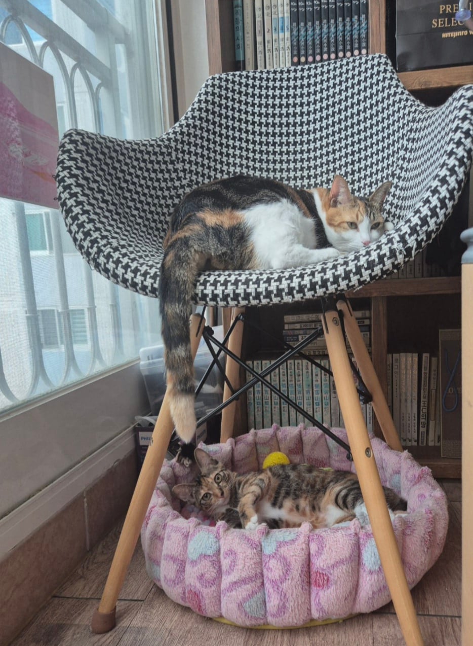 게시글 이미지