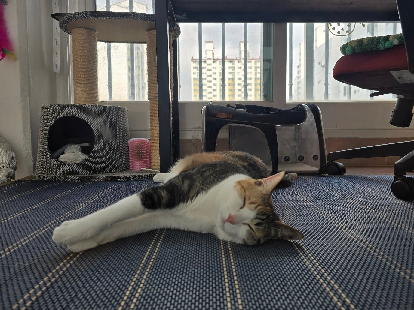 게시글 이미지