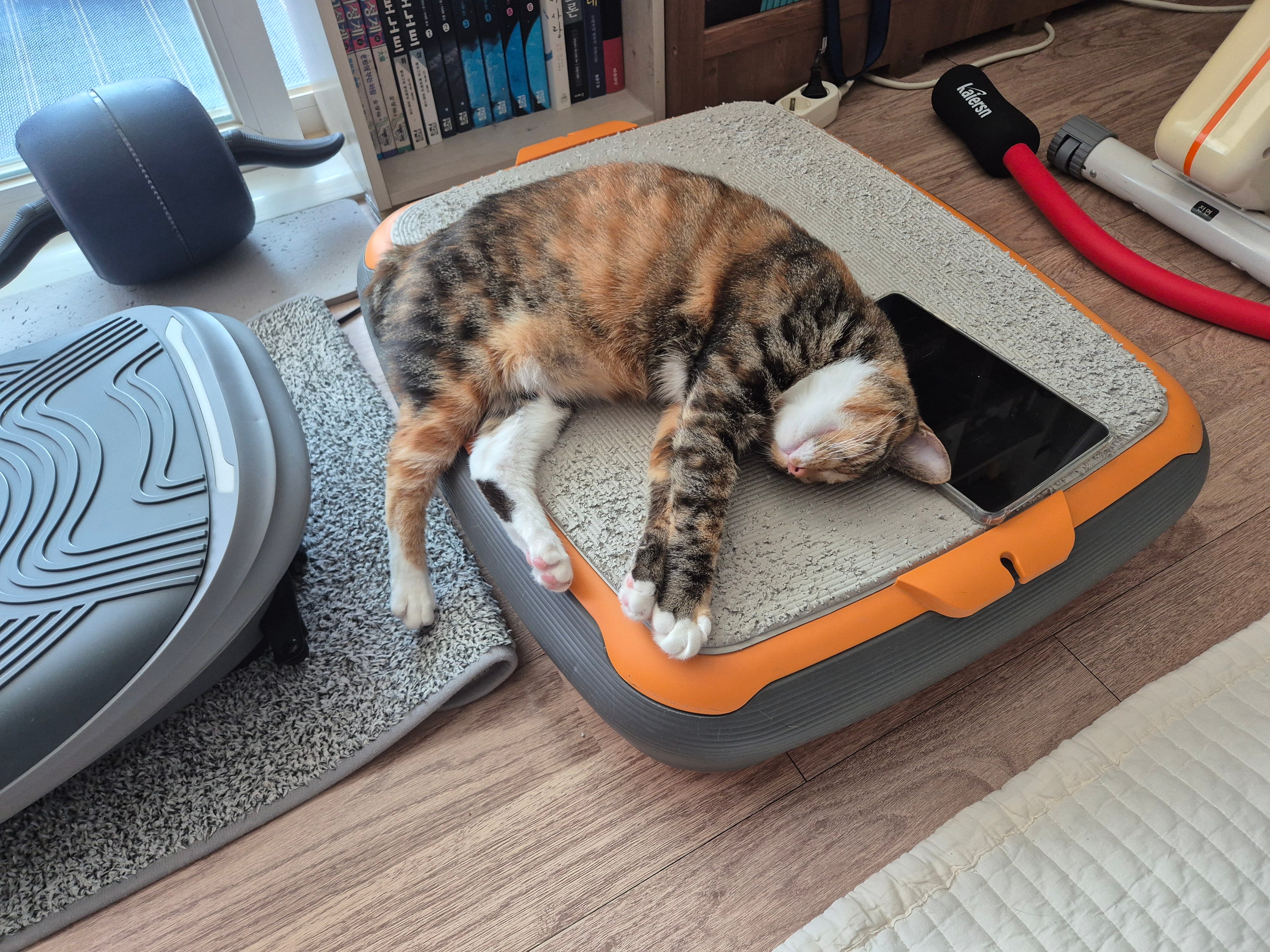 게시글 이미지