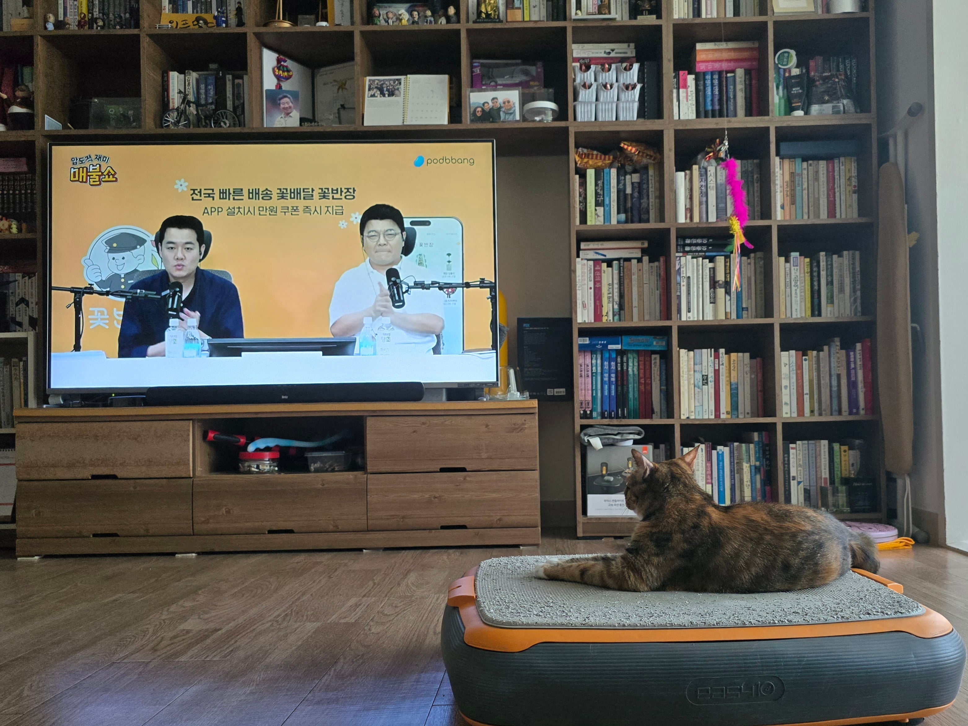 게시글 이미지
