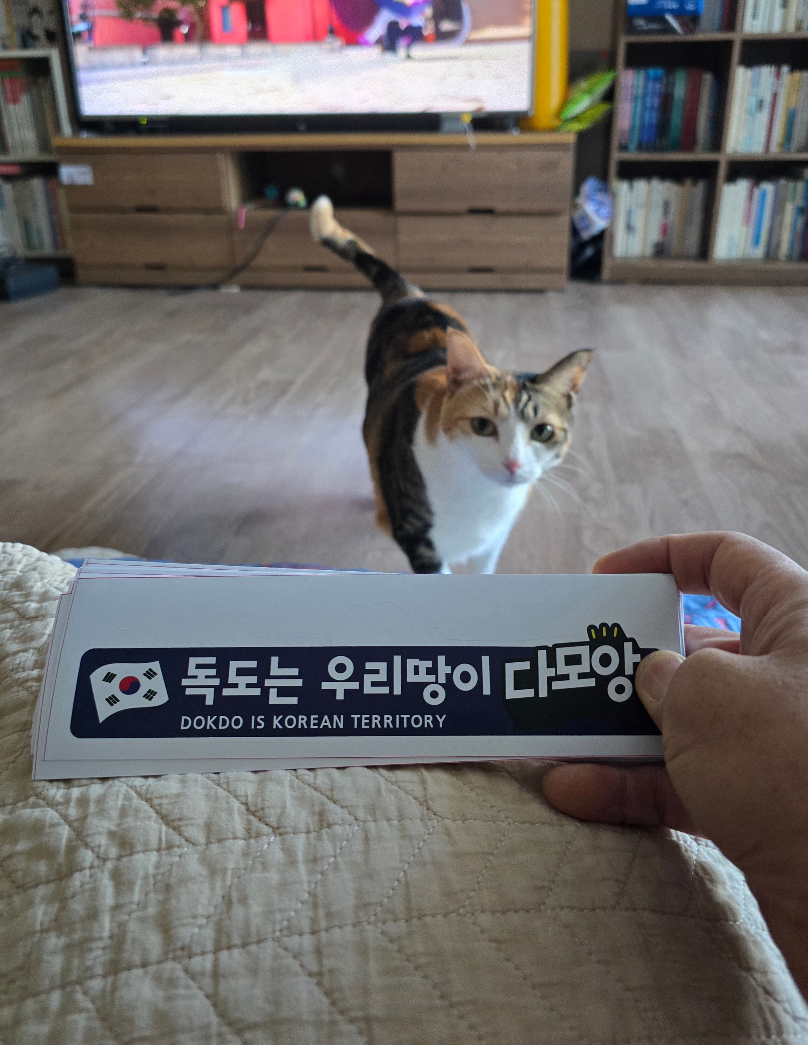 게시글 이미지