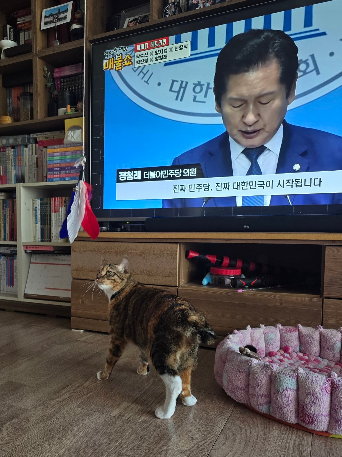 게시글 이미지