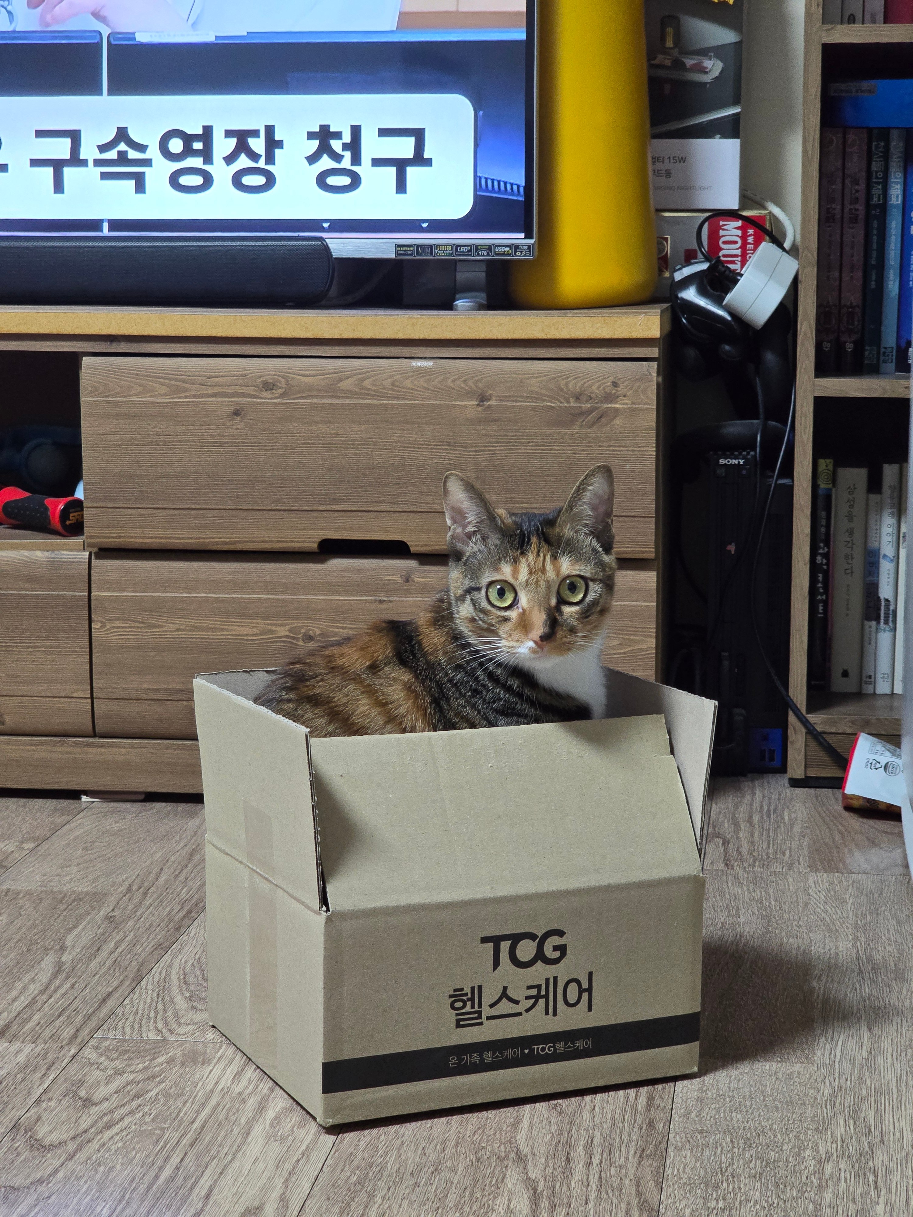 게시글 이미지