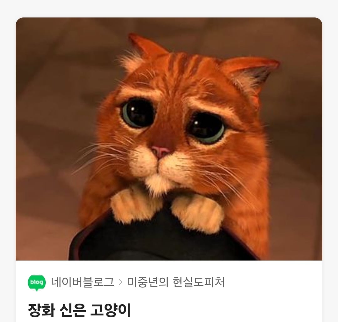 게시글 이미지