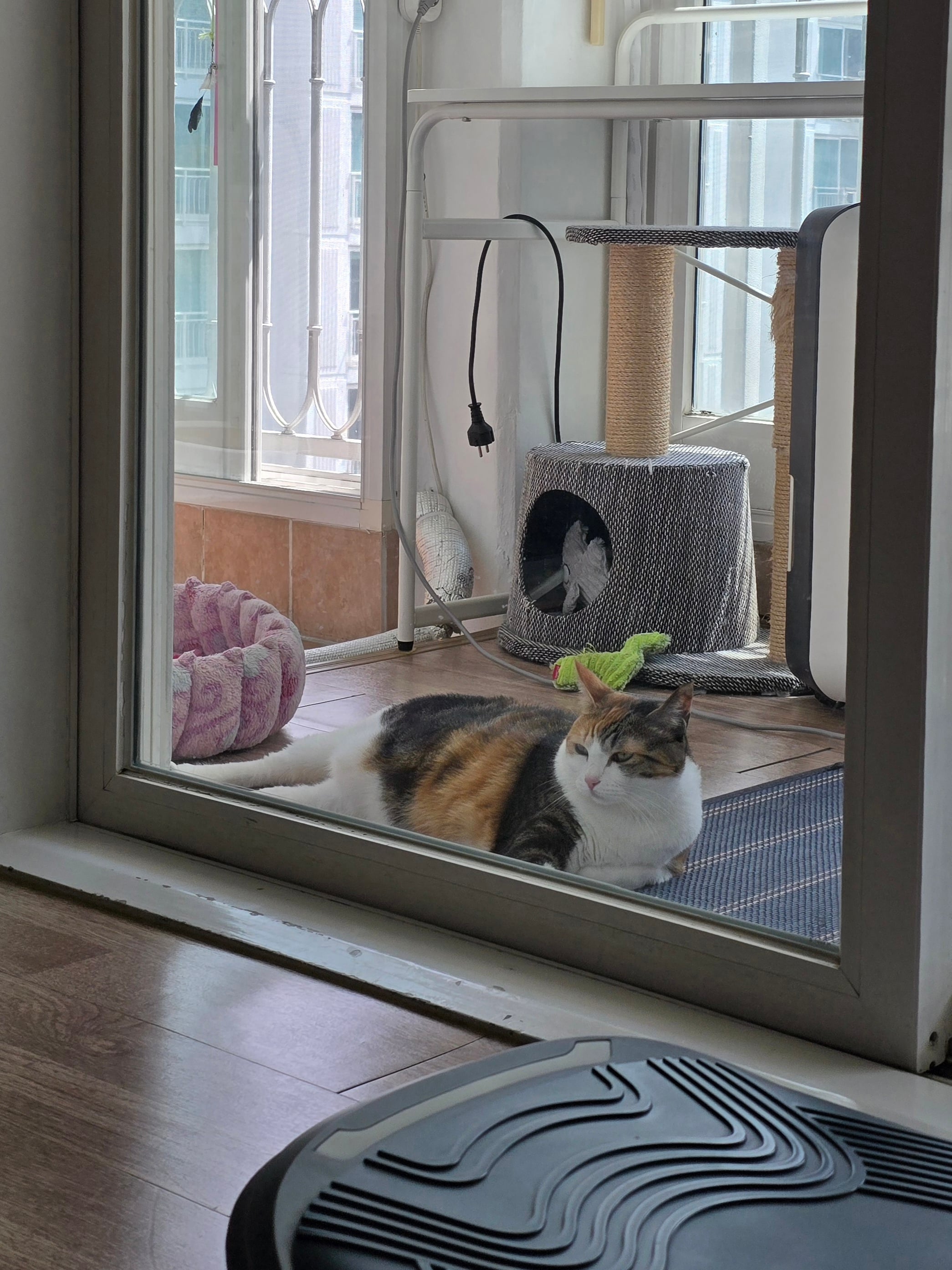 게시글 이미지