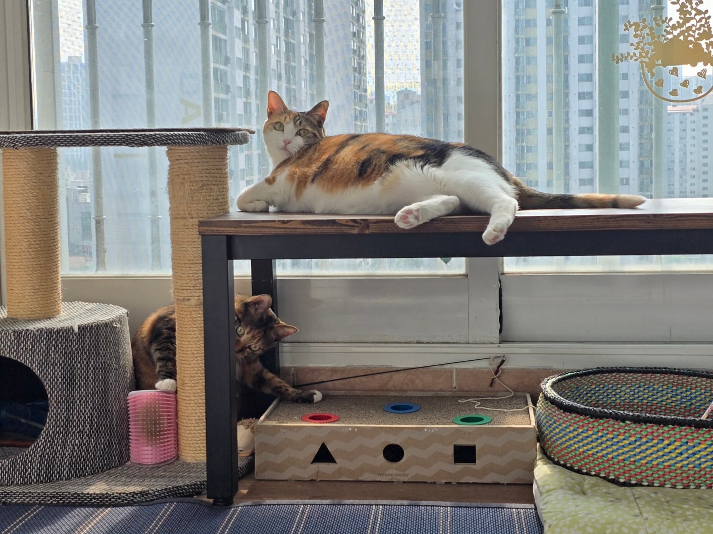 게시글 이미지