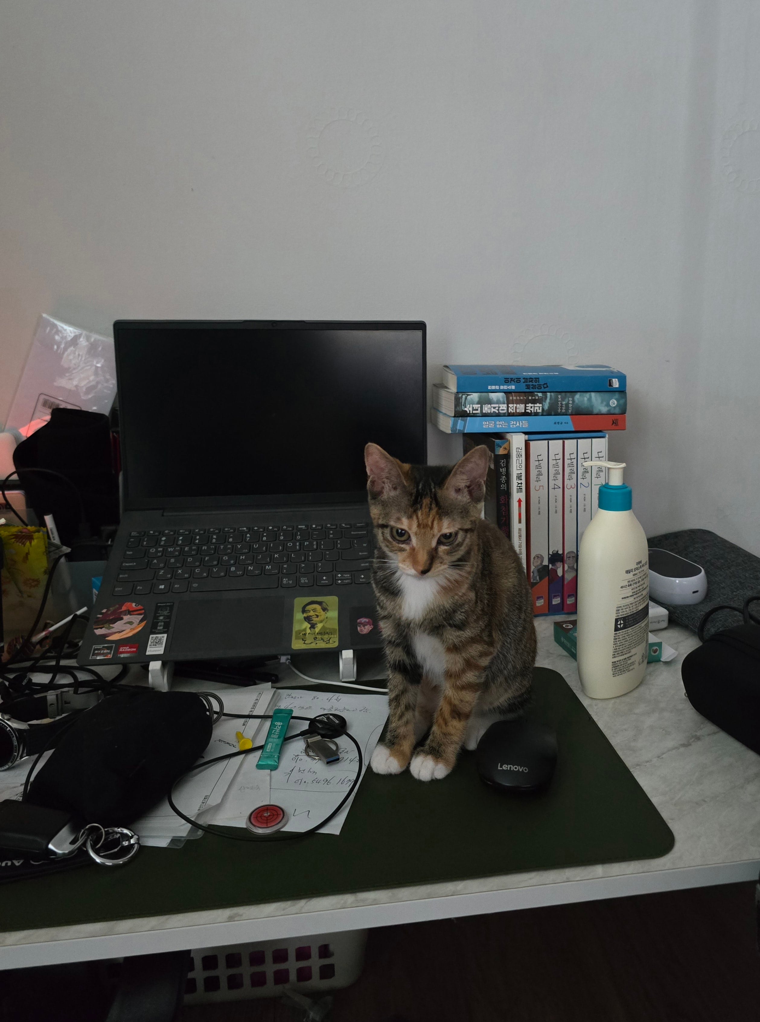 게시글 이미지