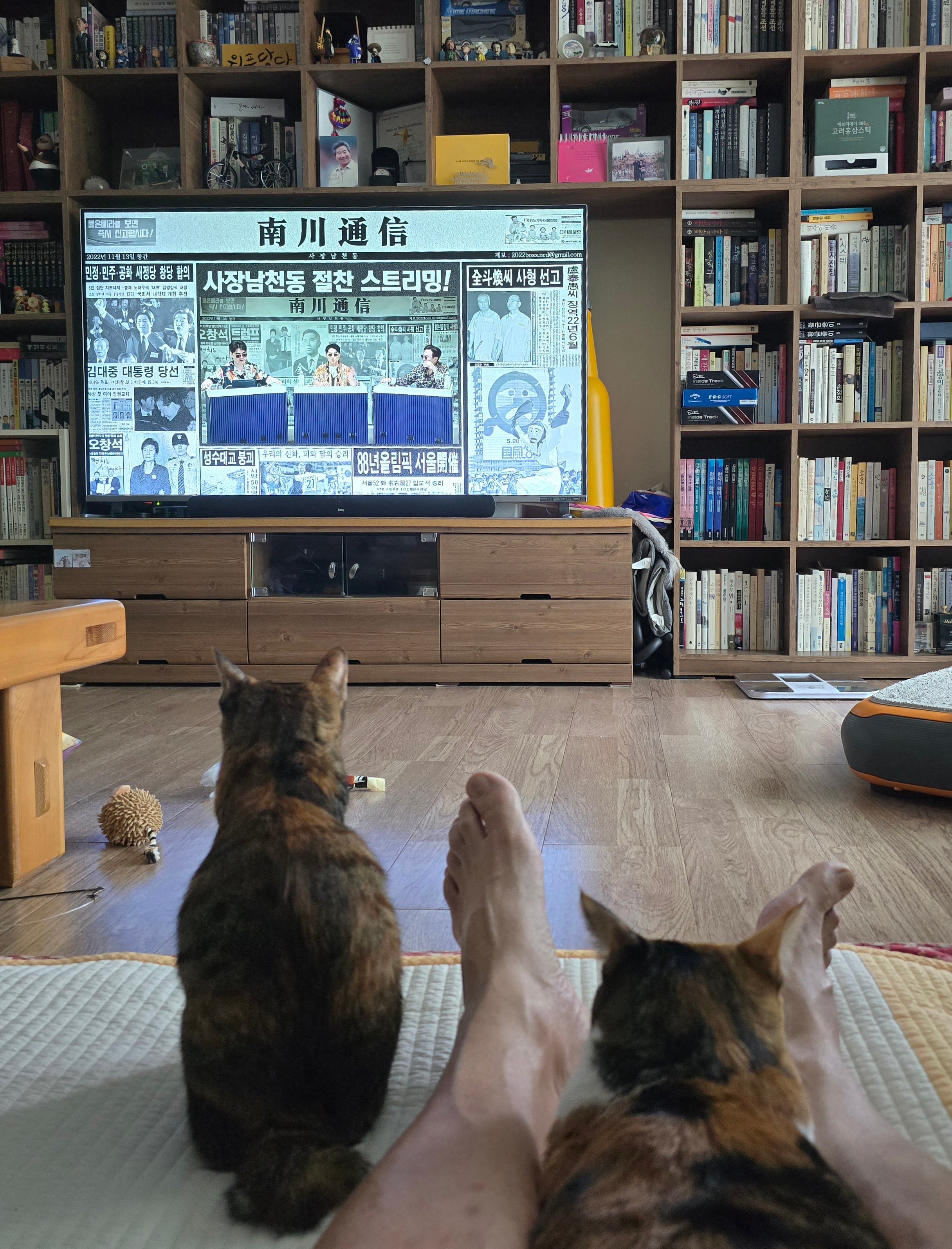 게시글 이미지