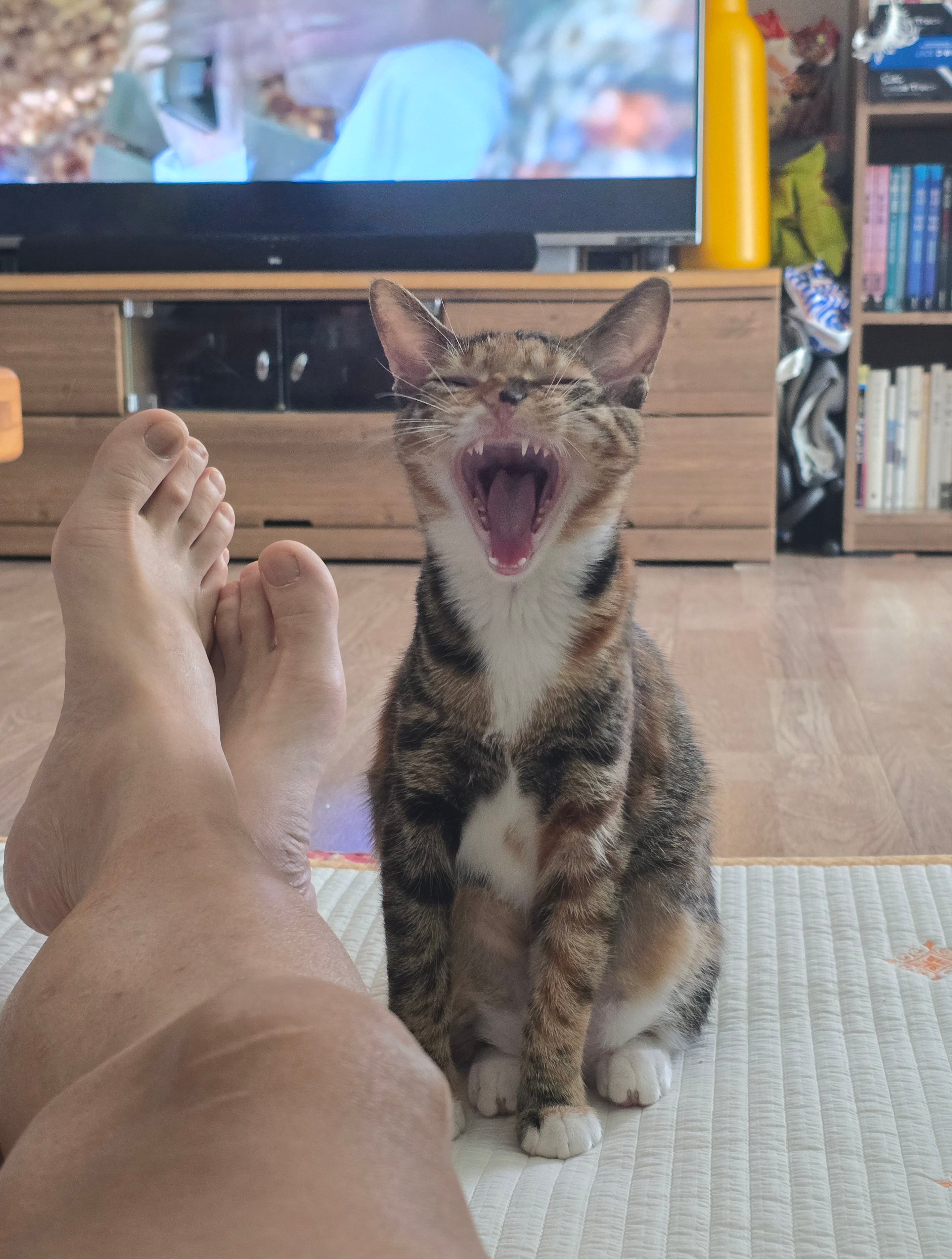 게시글 이미지