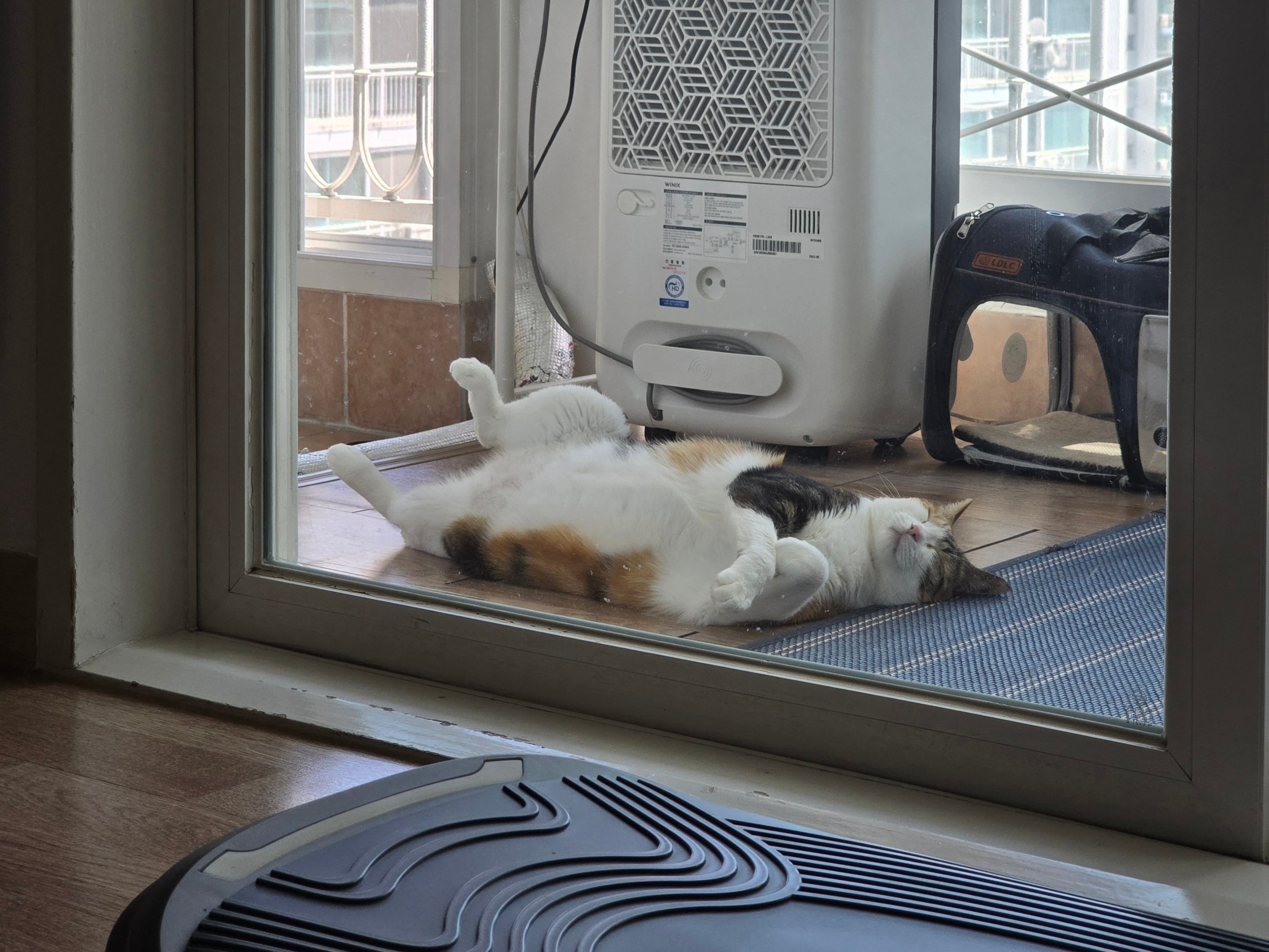 게시글 이미지