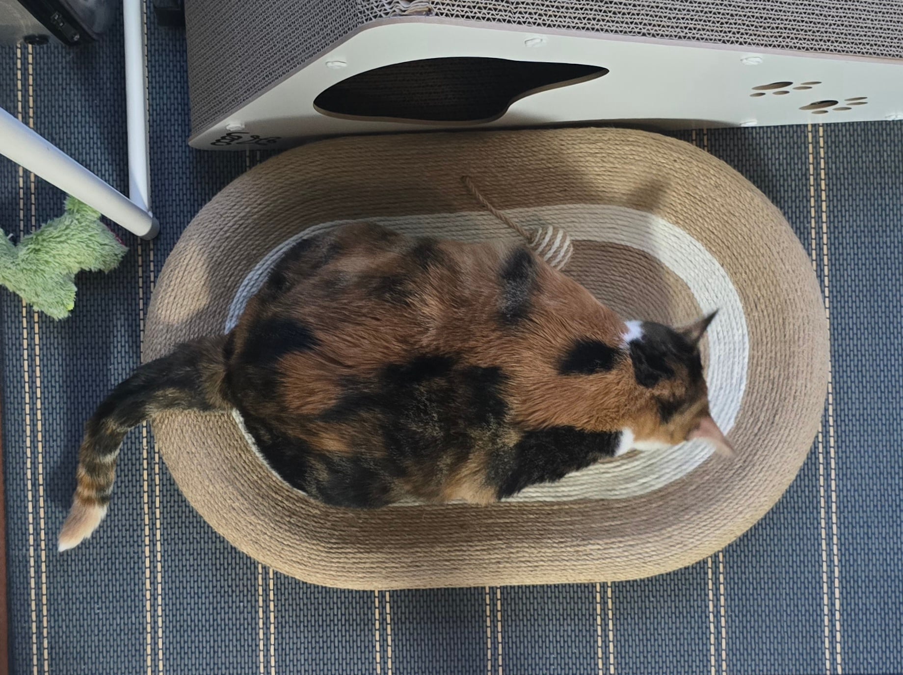 게시글 이미지