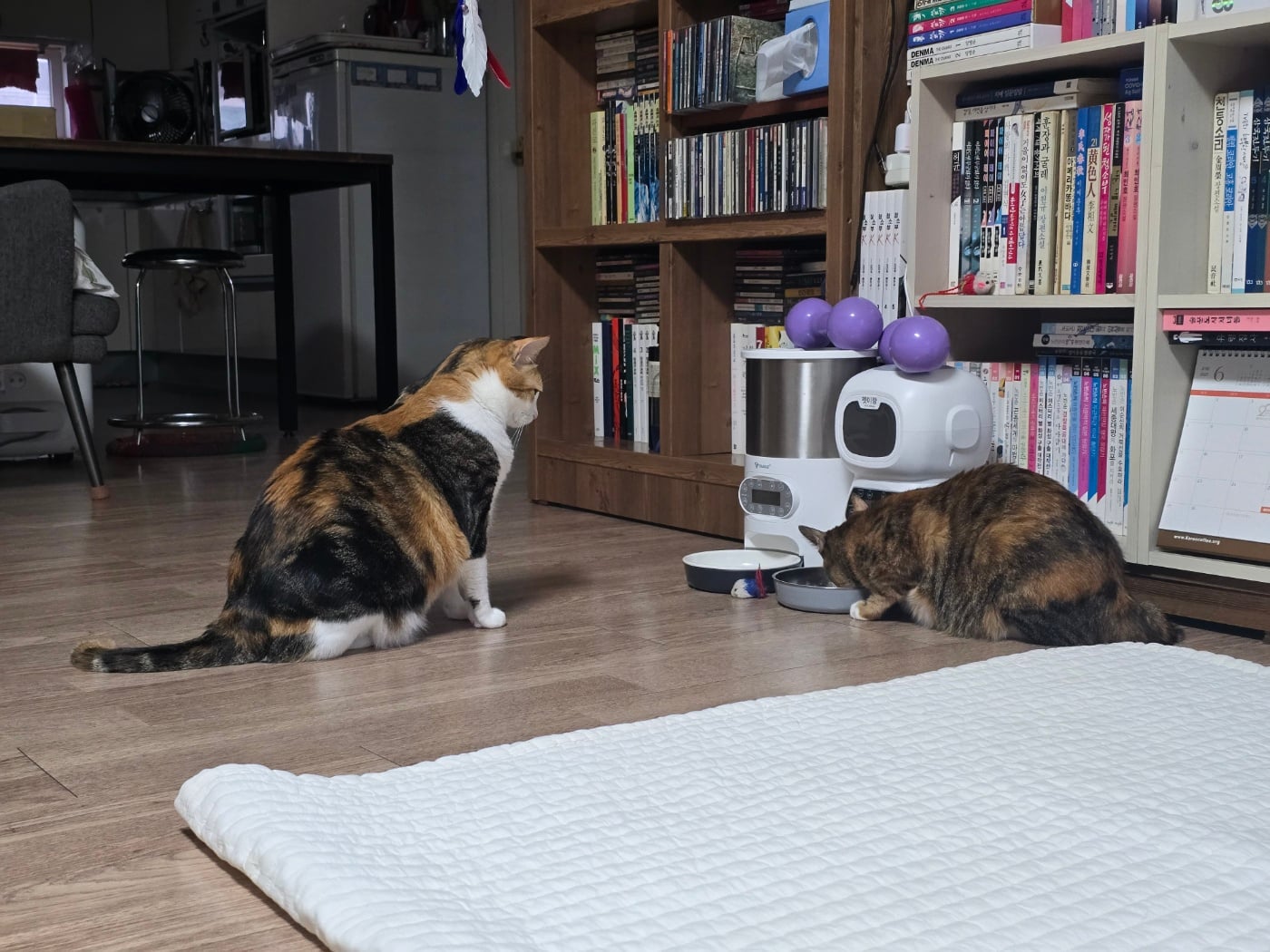 게시글 이미지