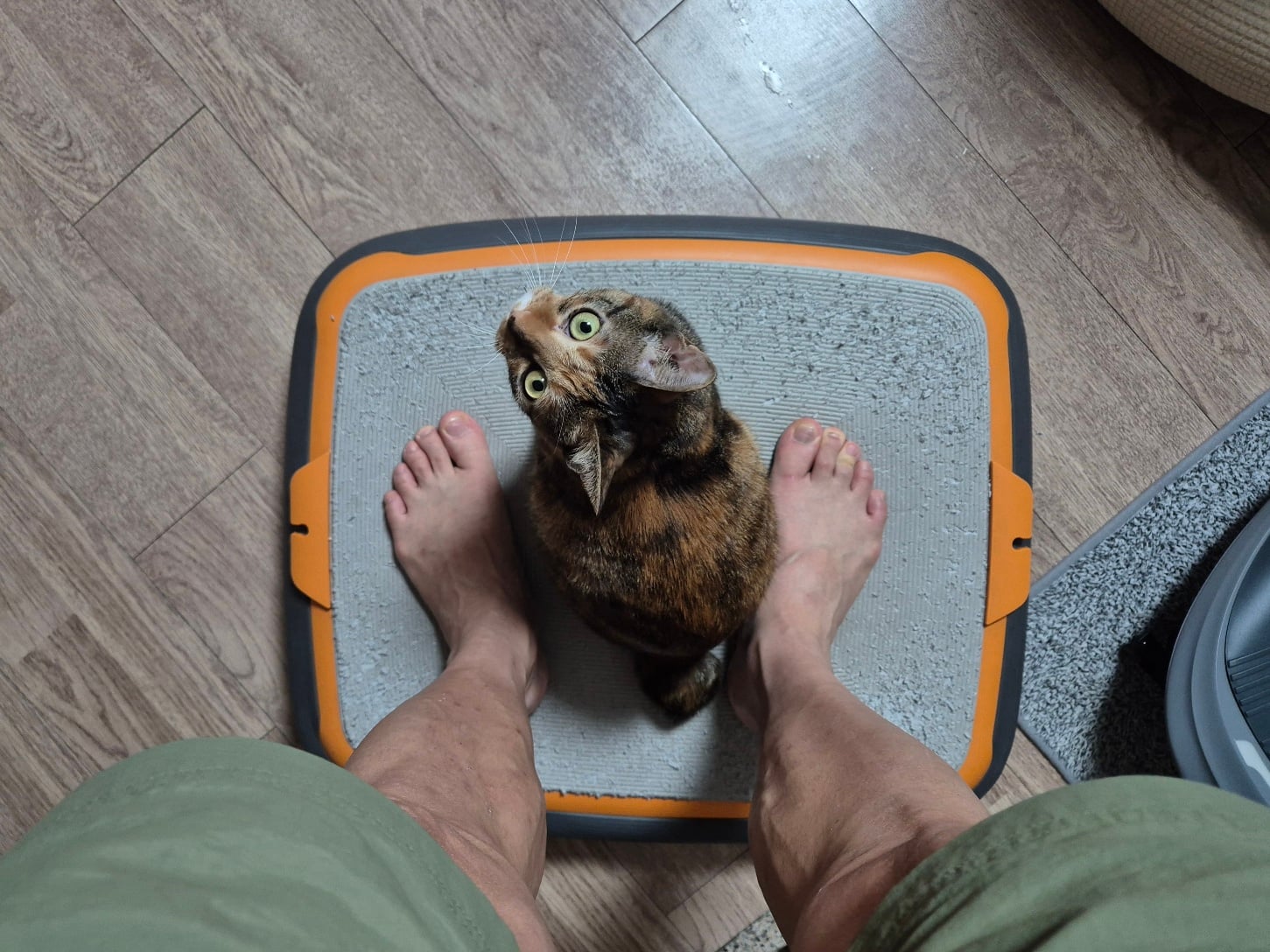 게시글 이미지