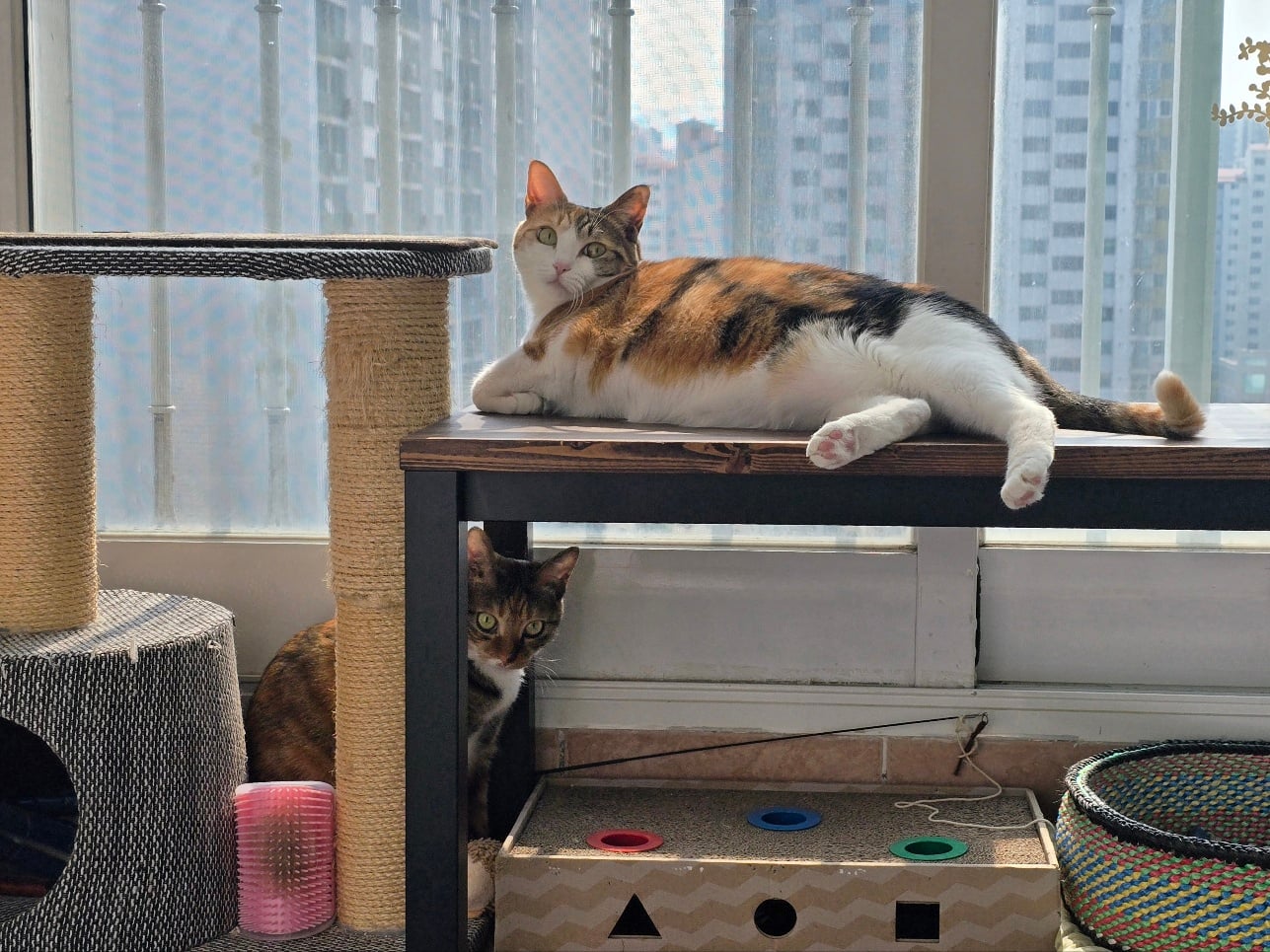 게시글 이미지