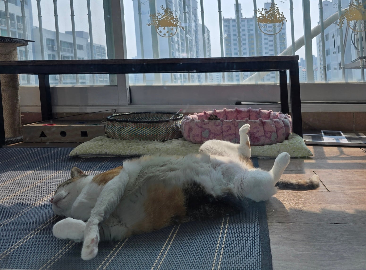 게시글 이미지