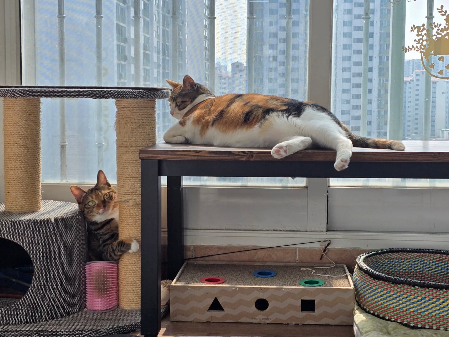 게시글 이미지