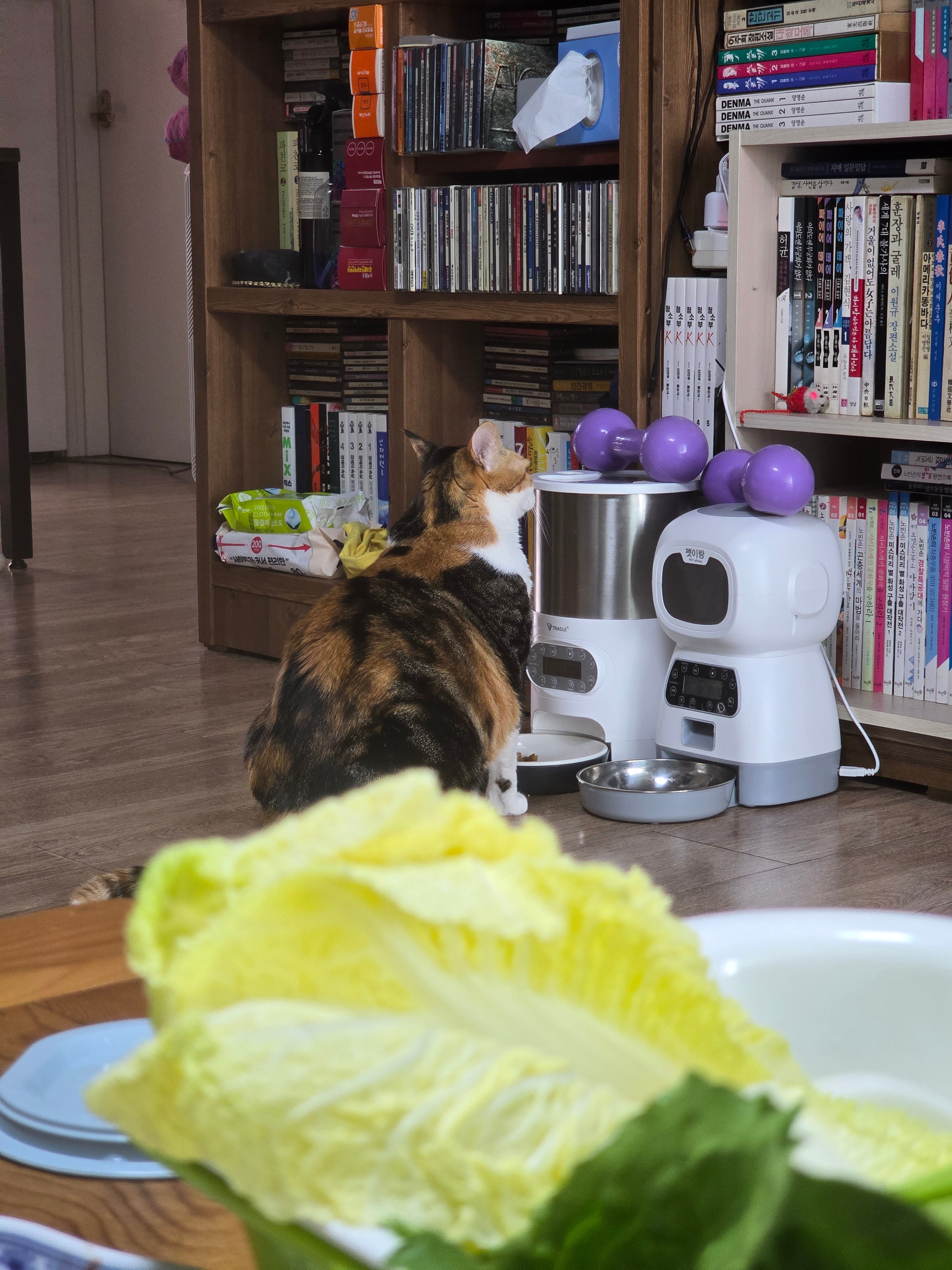 게시글 이미지