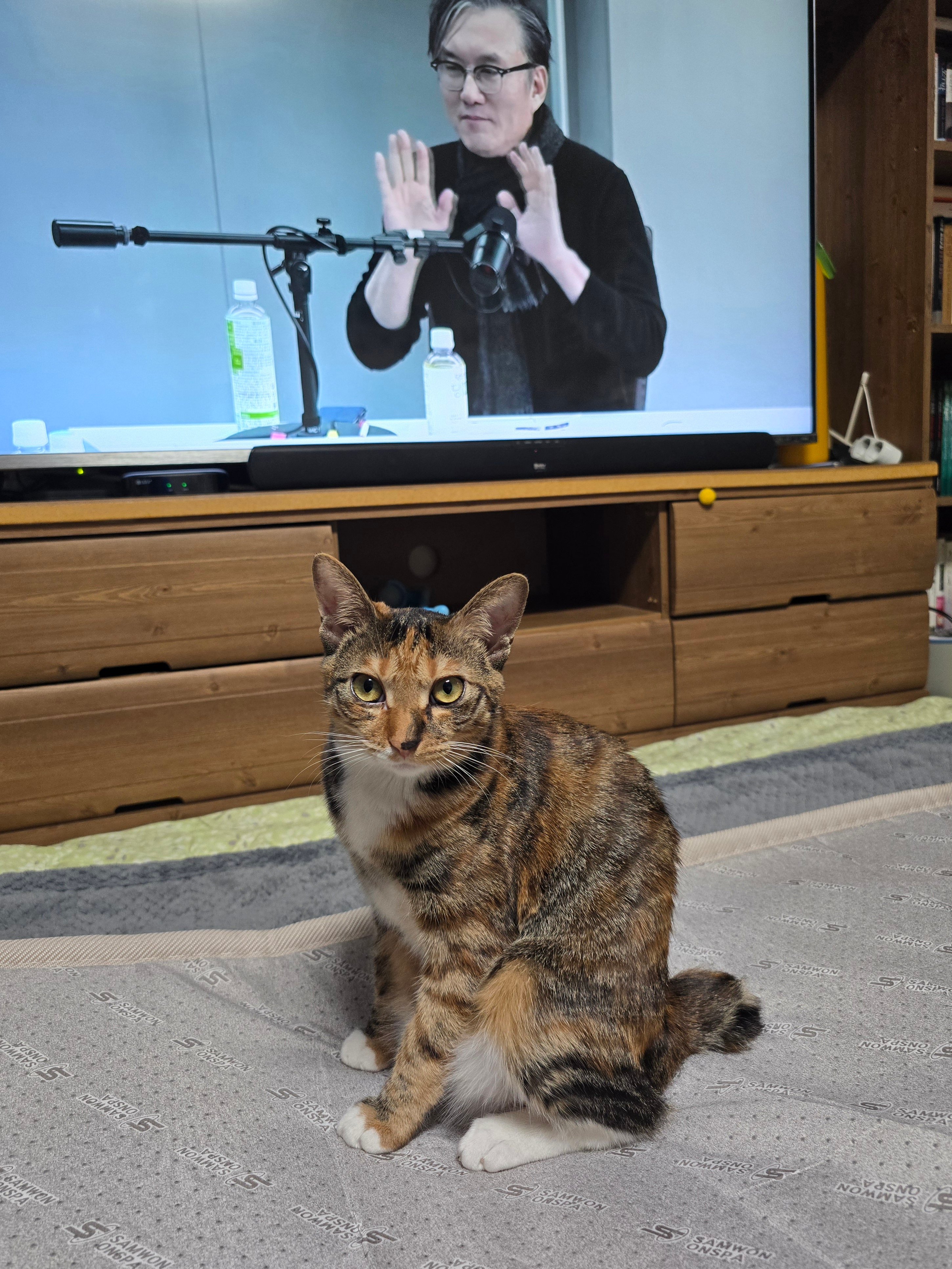 게시글 이미지