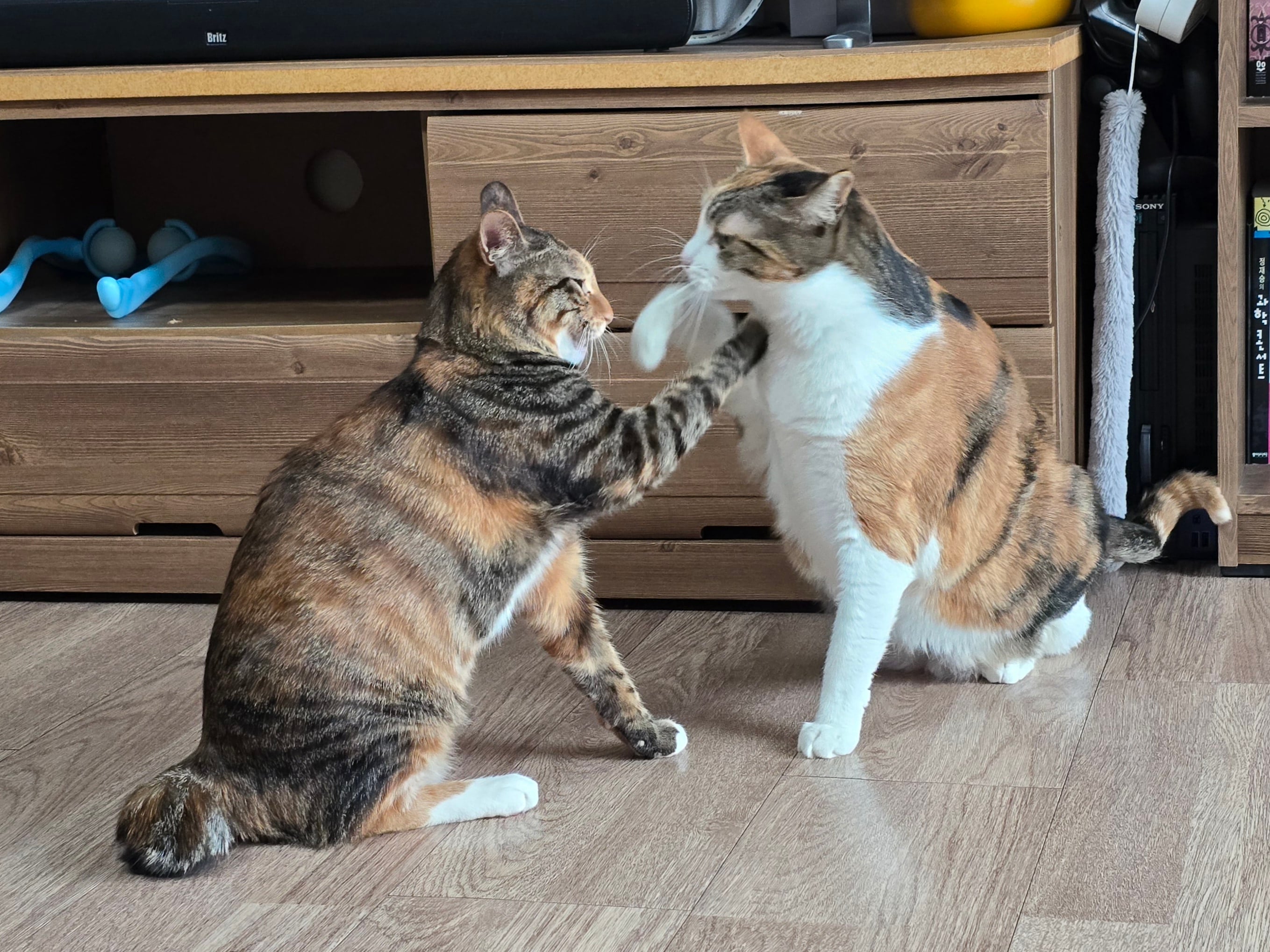 게시글 이미지