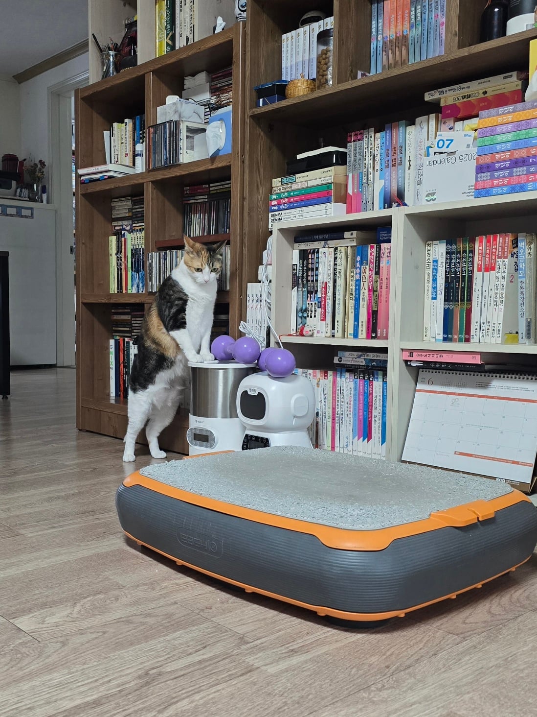 게시글 이미지