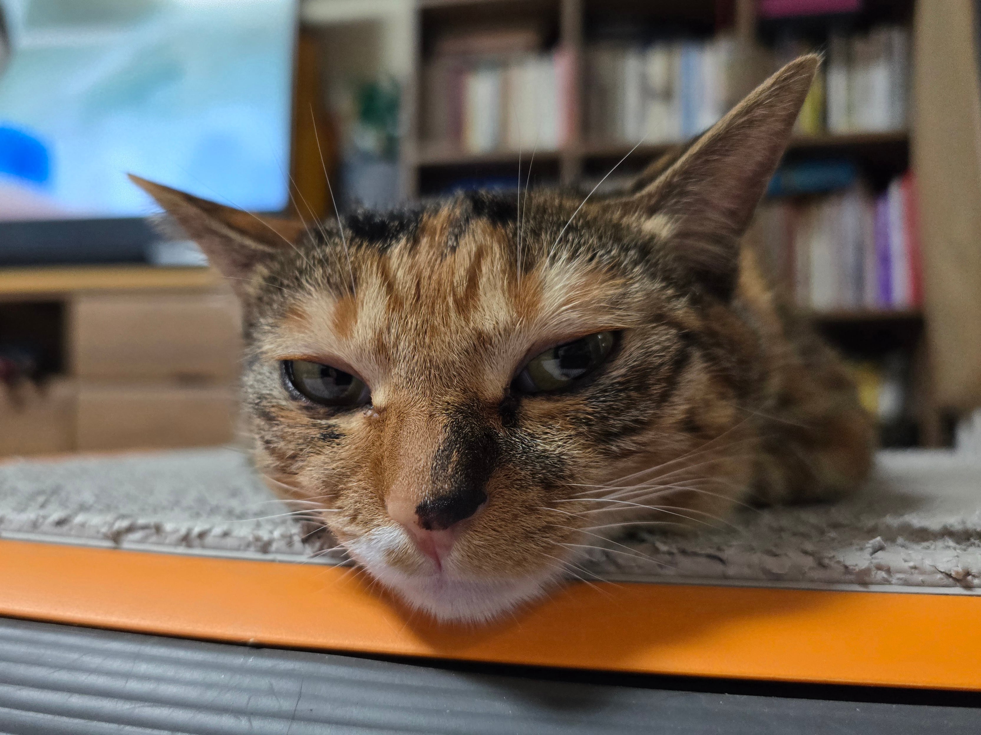 게시글 이미지