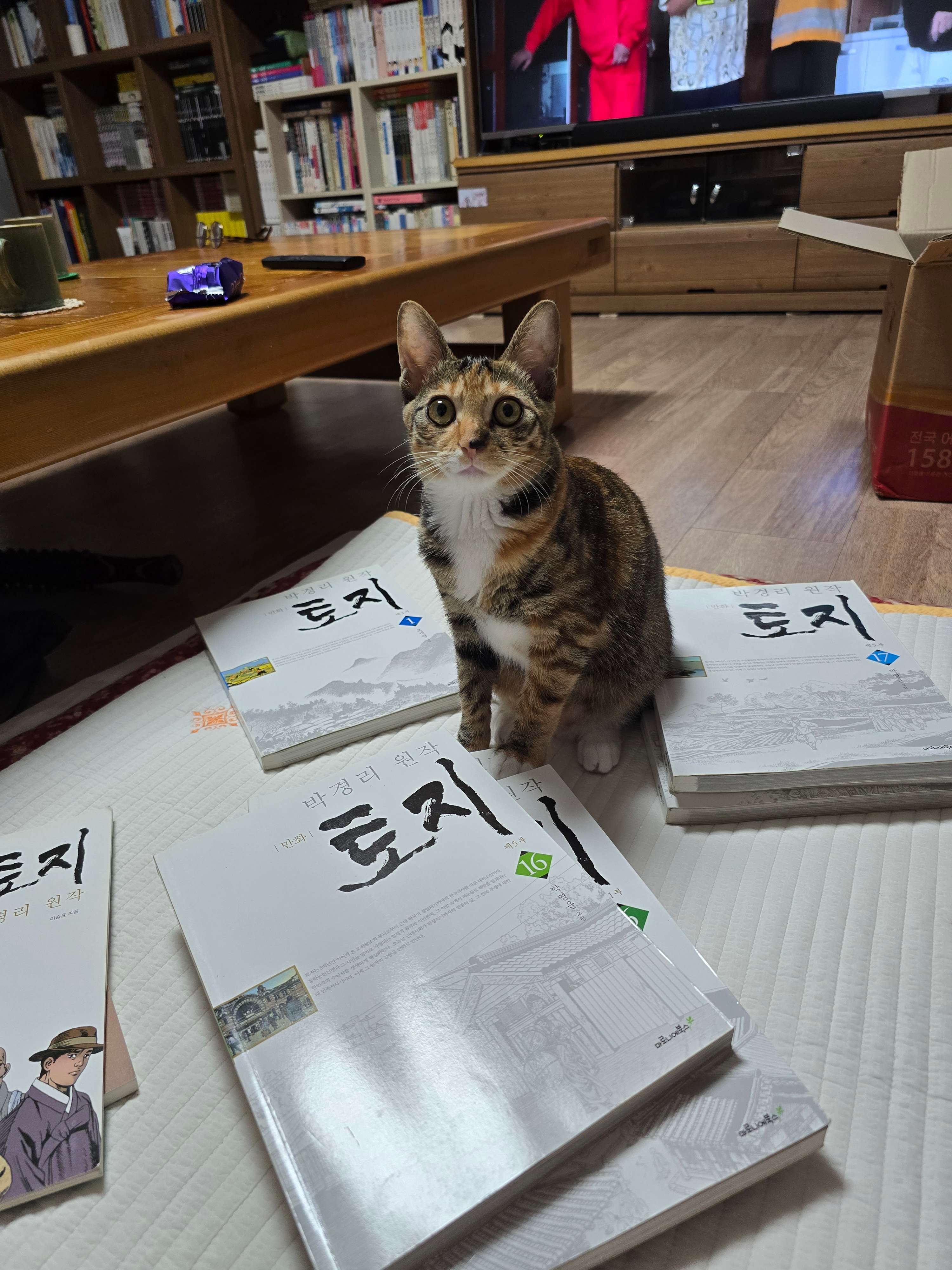 게시글 이미지