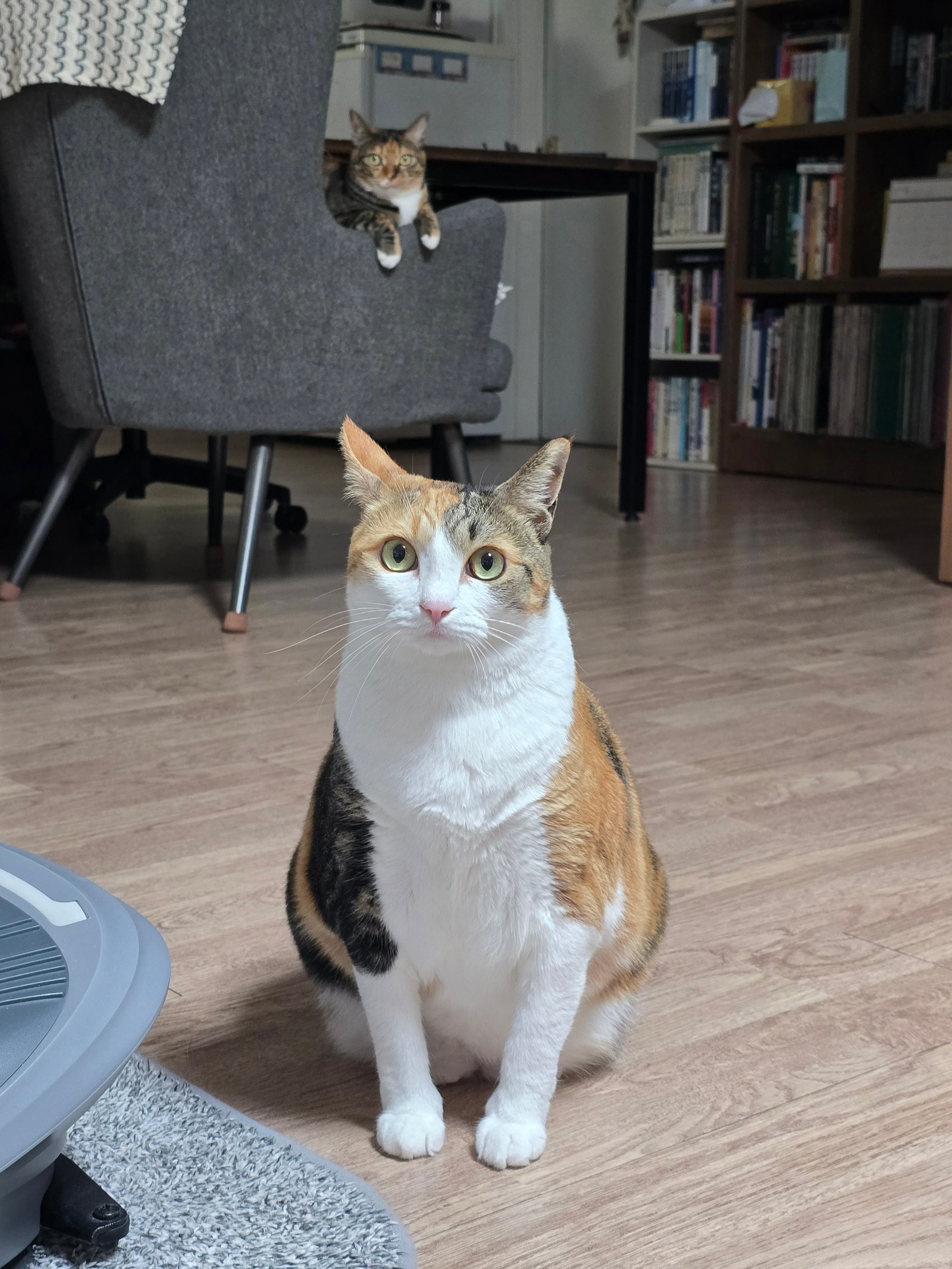 게시글 이미지