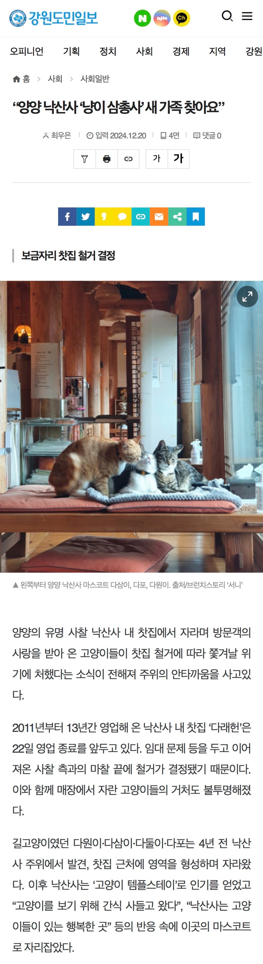 게시글 이미지