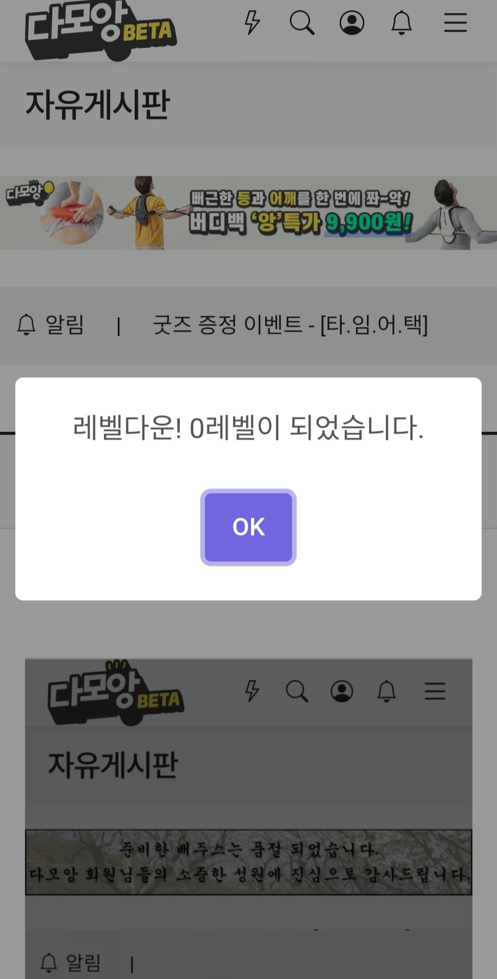 게시글 이미지