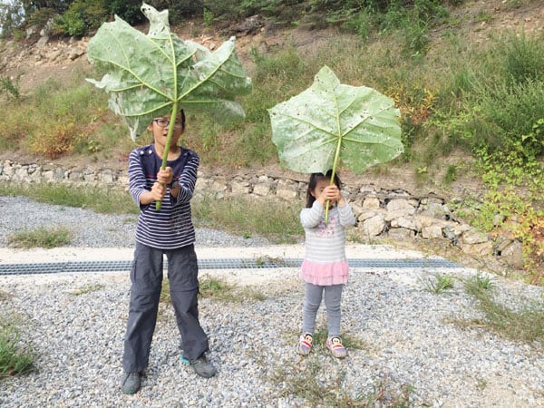 게시글 이미지