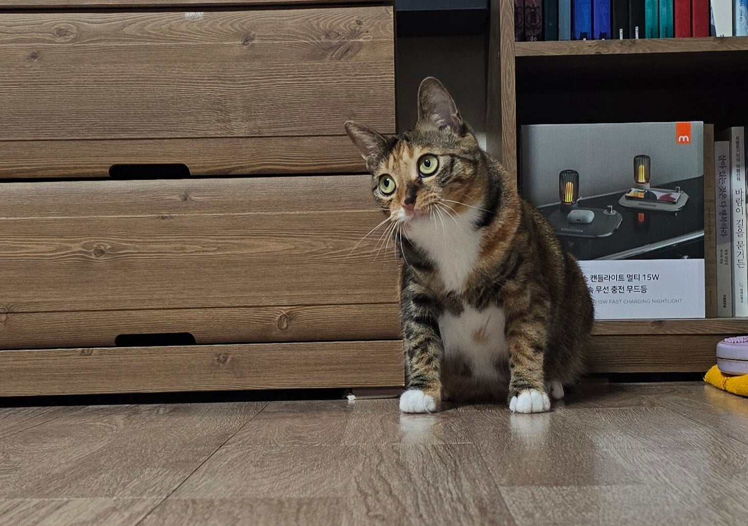 게시글 이미지