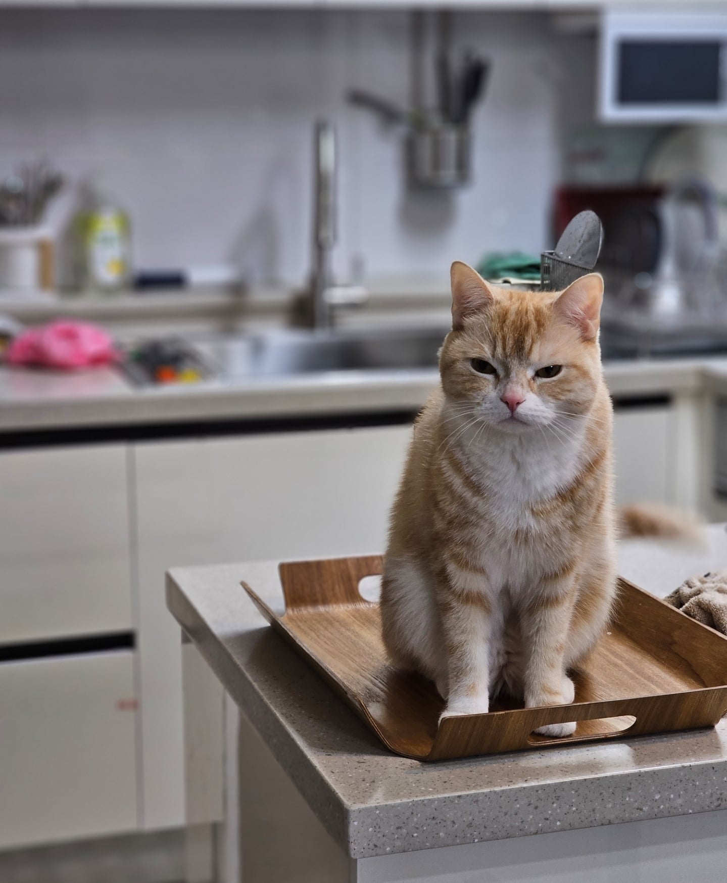 게시글 이미지