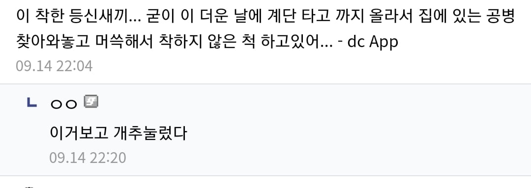 게시글 이미지