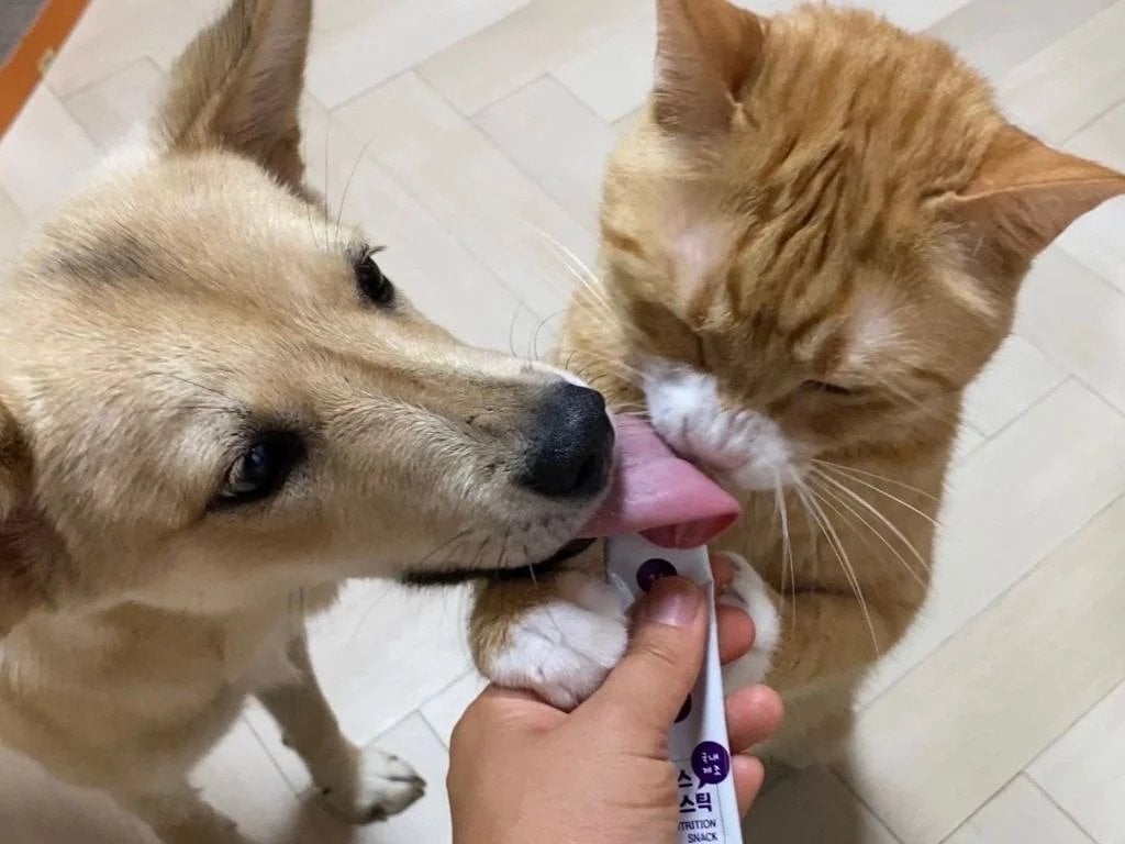 게시글 이미지