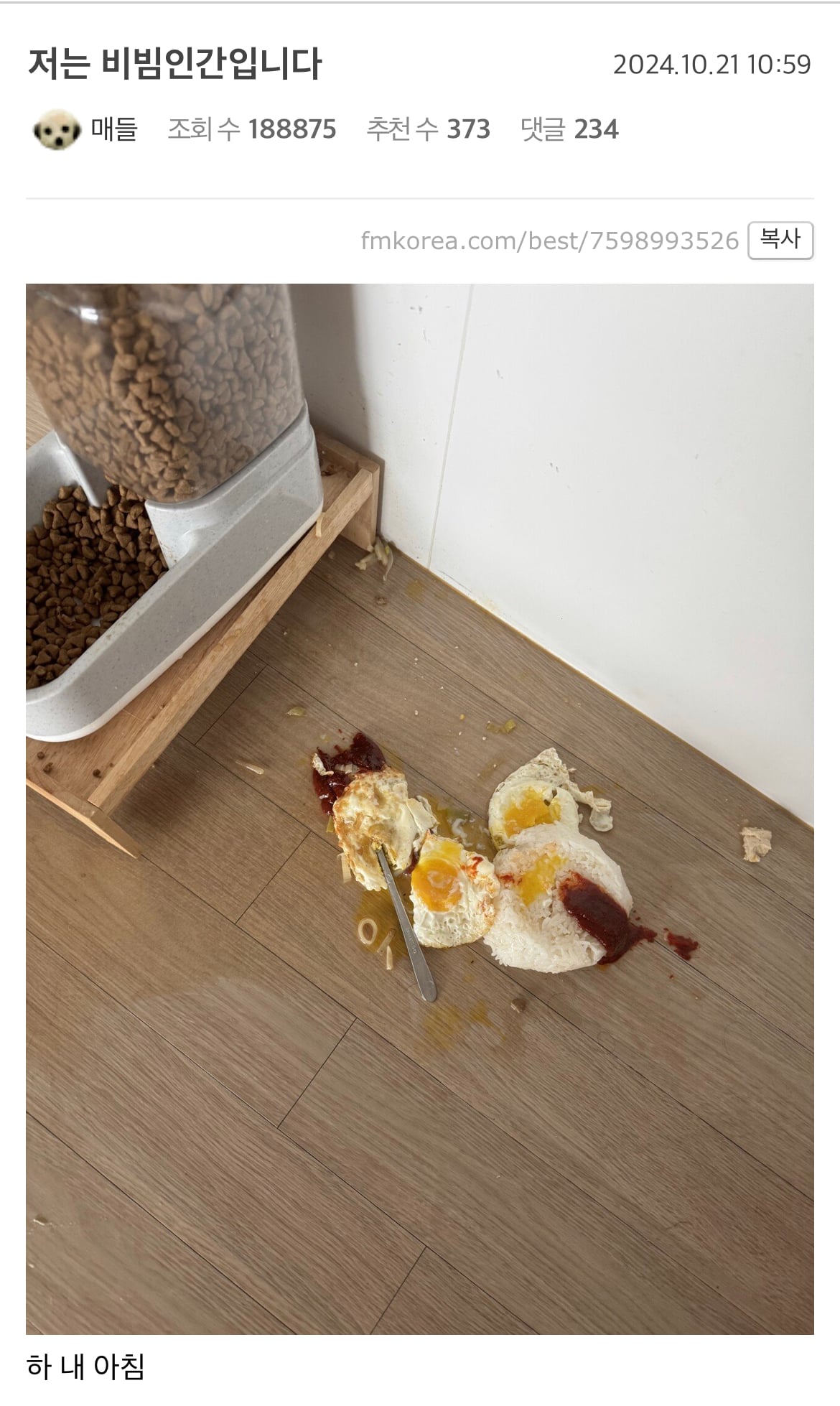 게시글 이미지