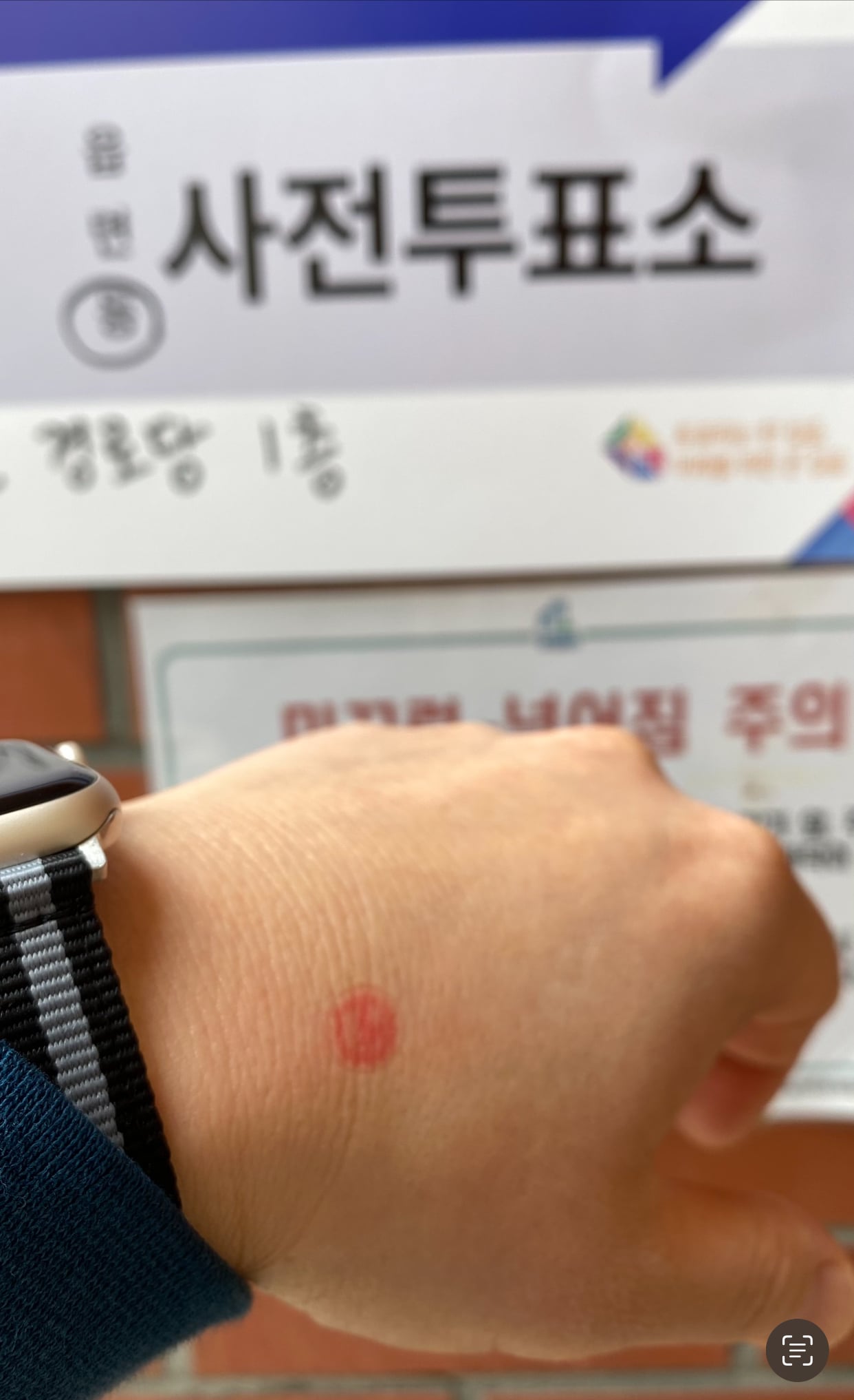 게시글 이미지