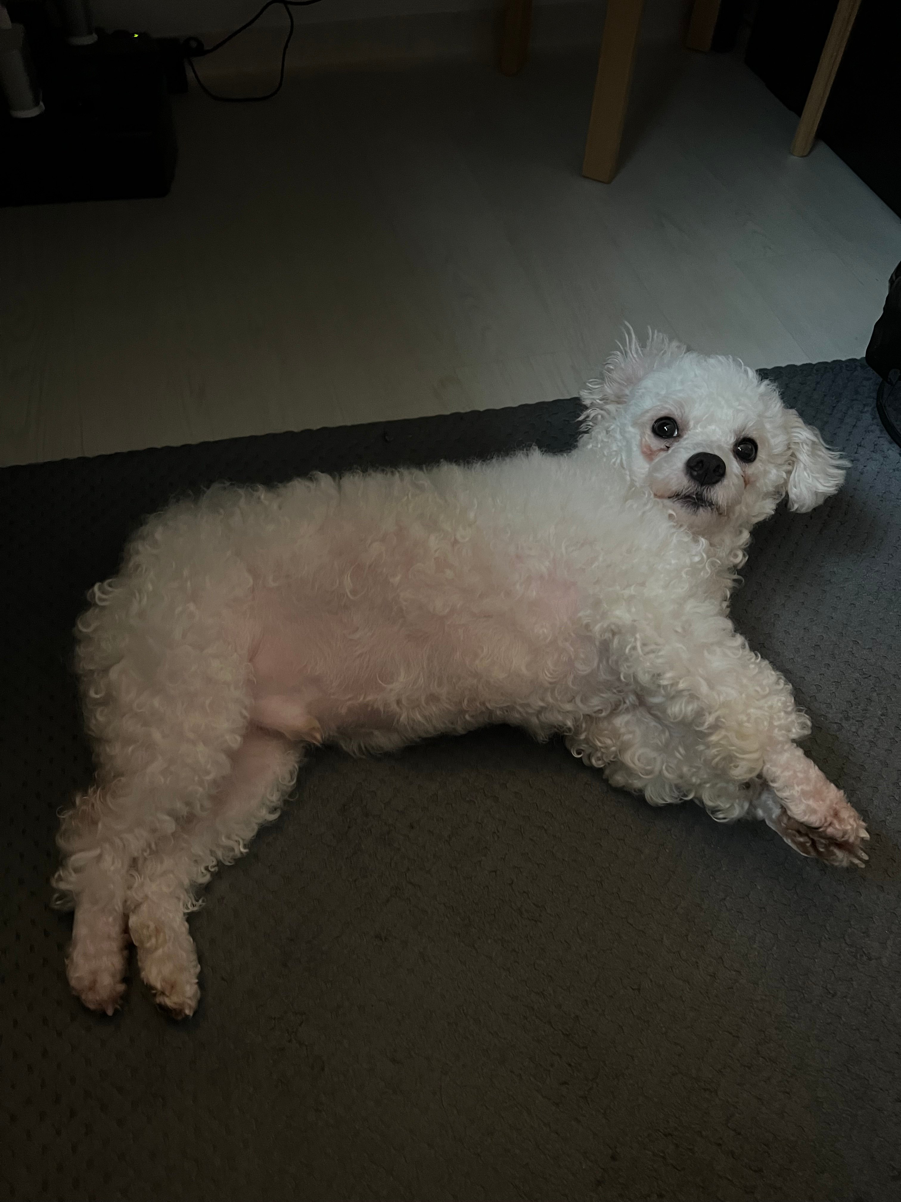 게시글 이미지