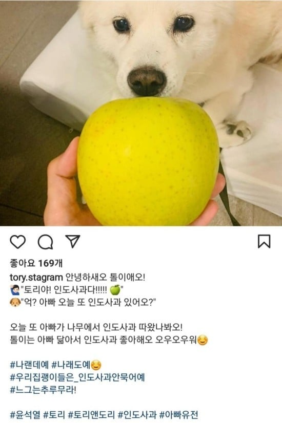 게시글 이미지