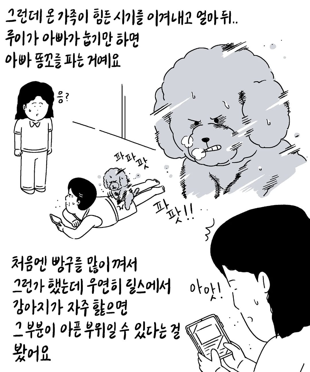 게시글 이미지