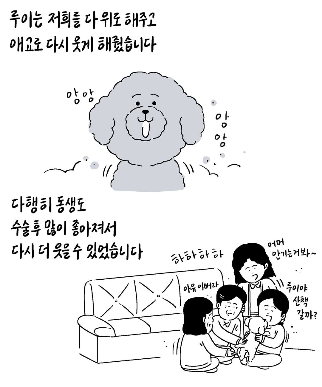 게시글 이미지