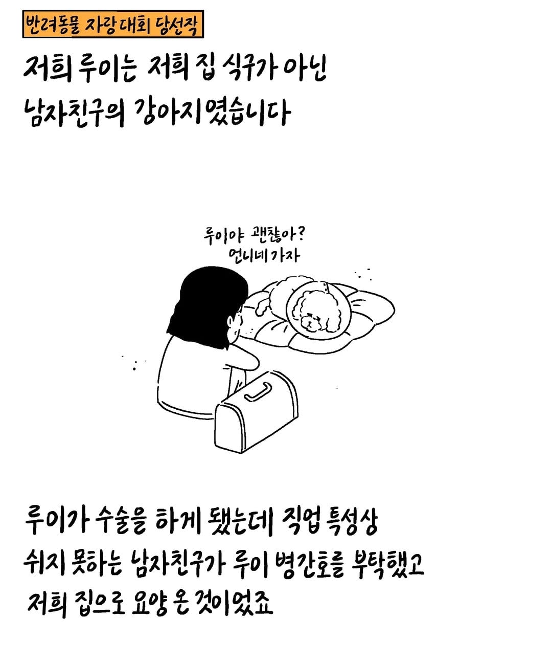 게시글 이미지