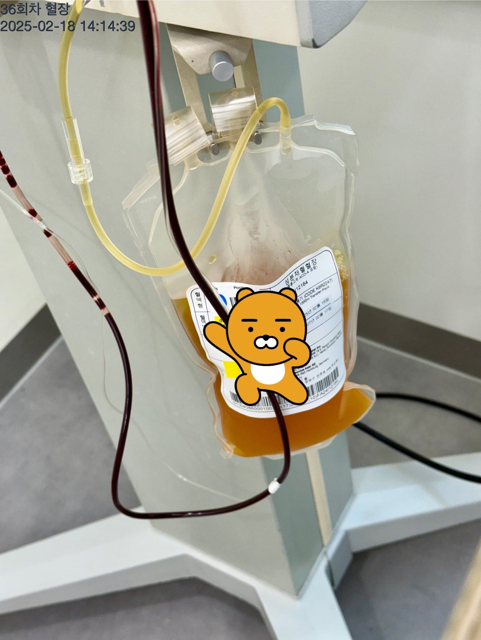 게시글 이미지