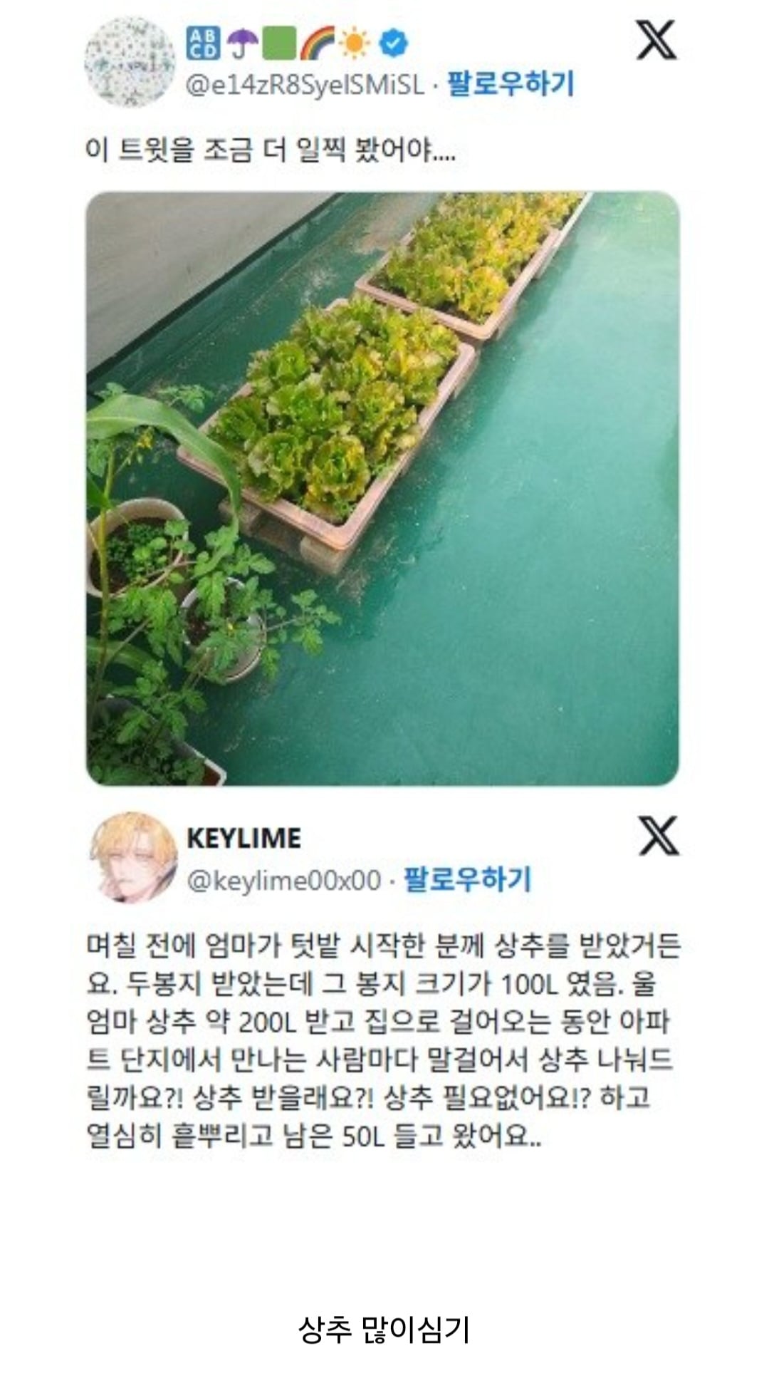 게시글 이미지