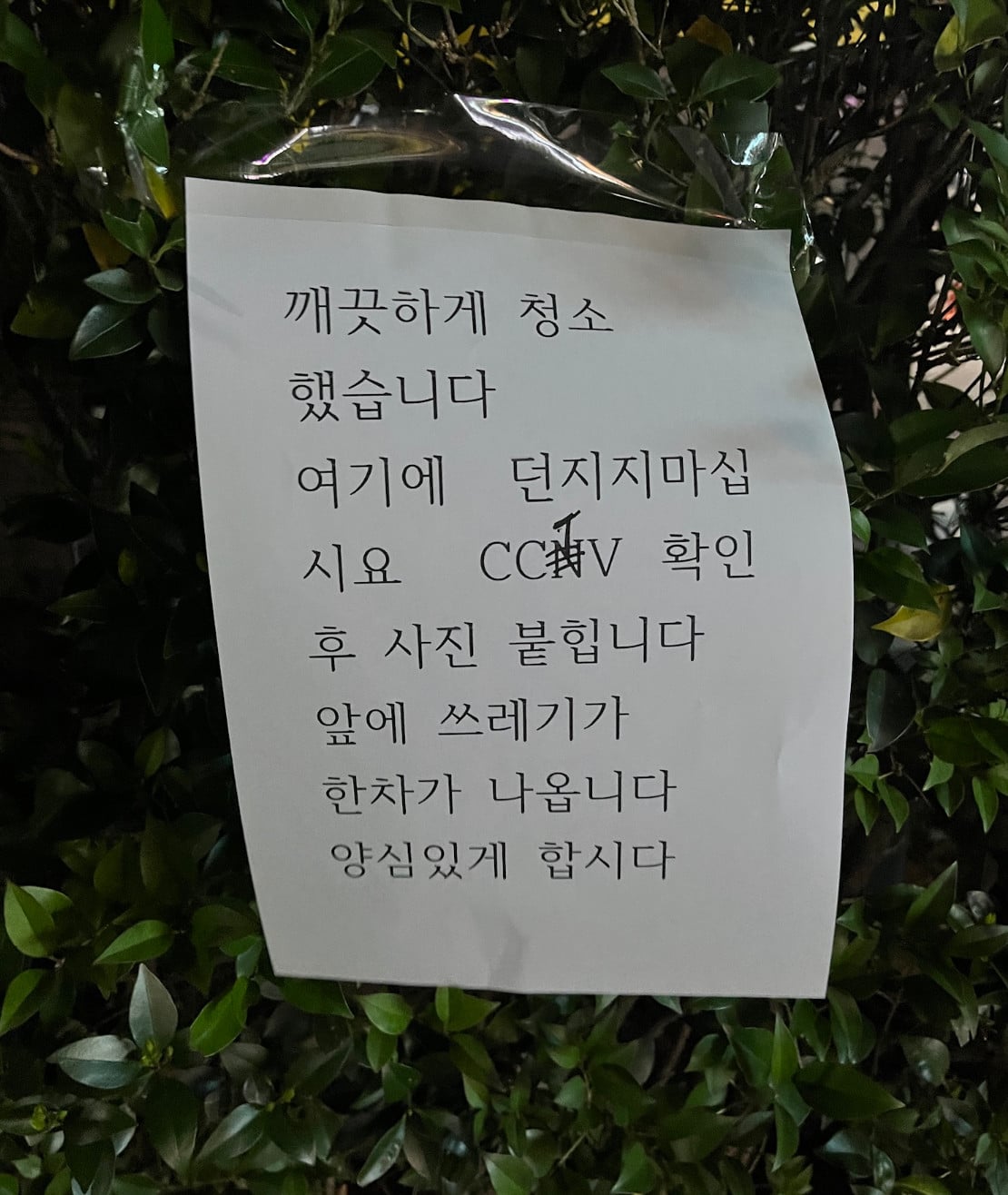 게시글 이미지
